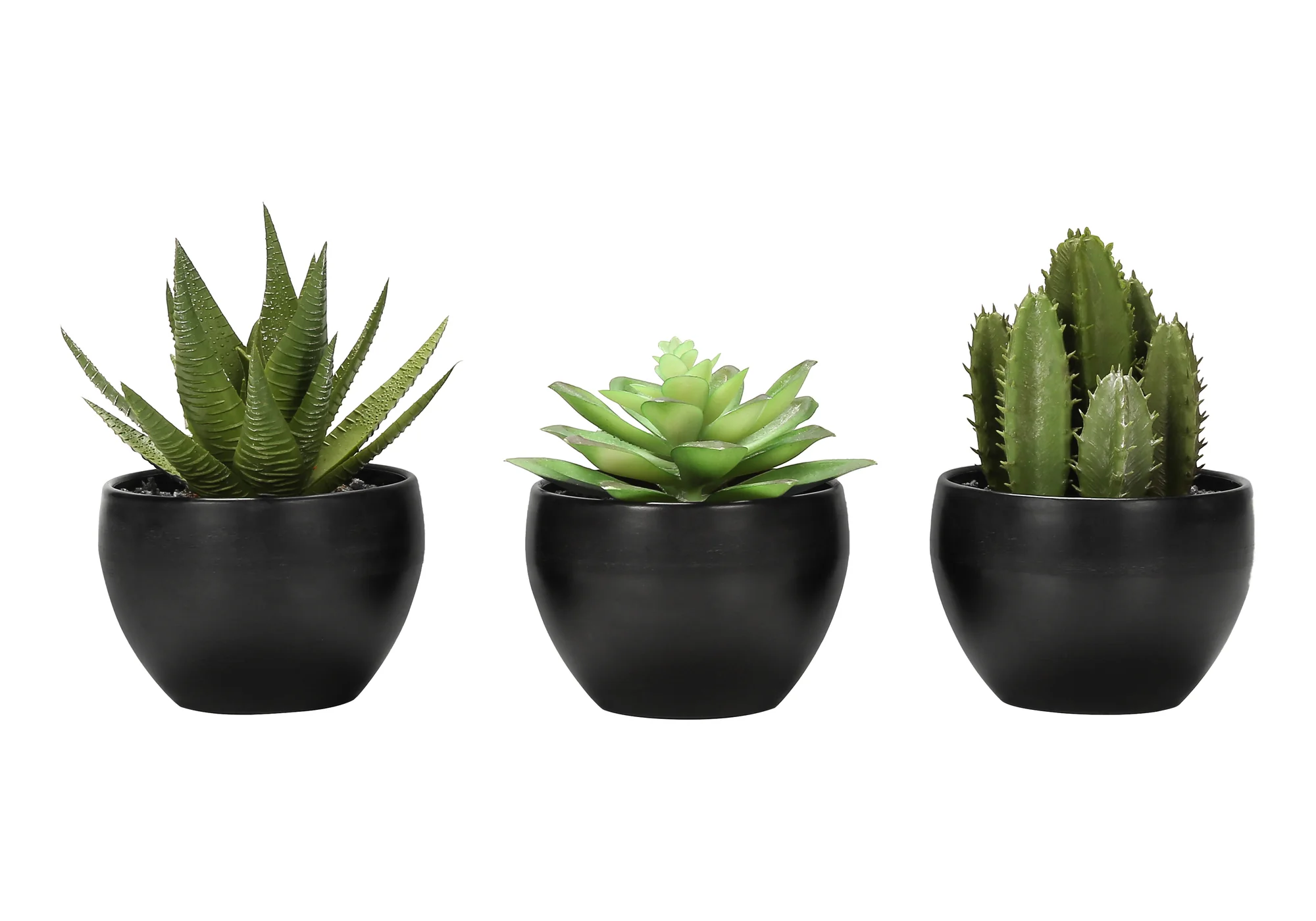 6" Faux Succulents with Black Pot, Set Of 3 - Image 4