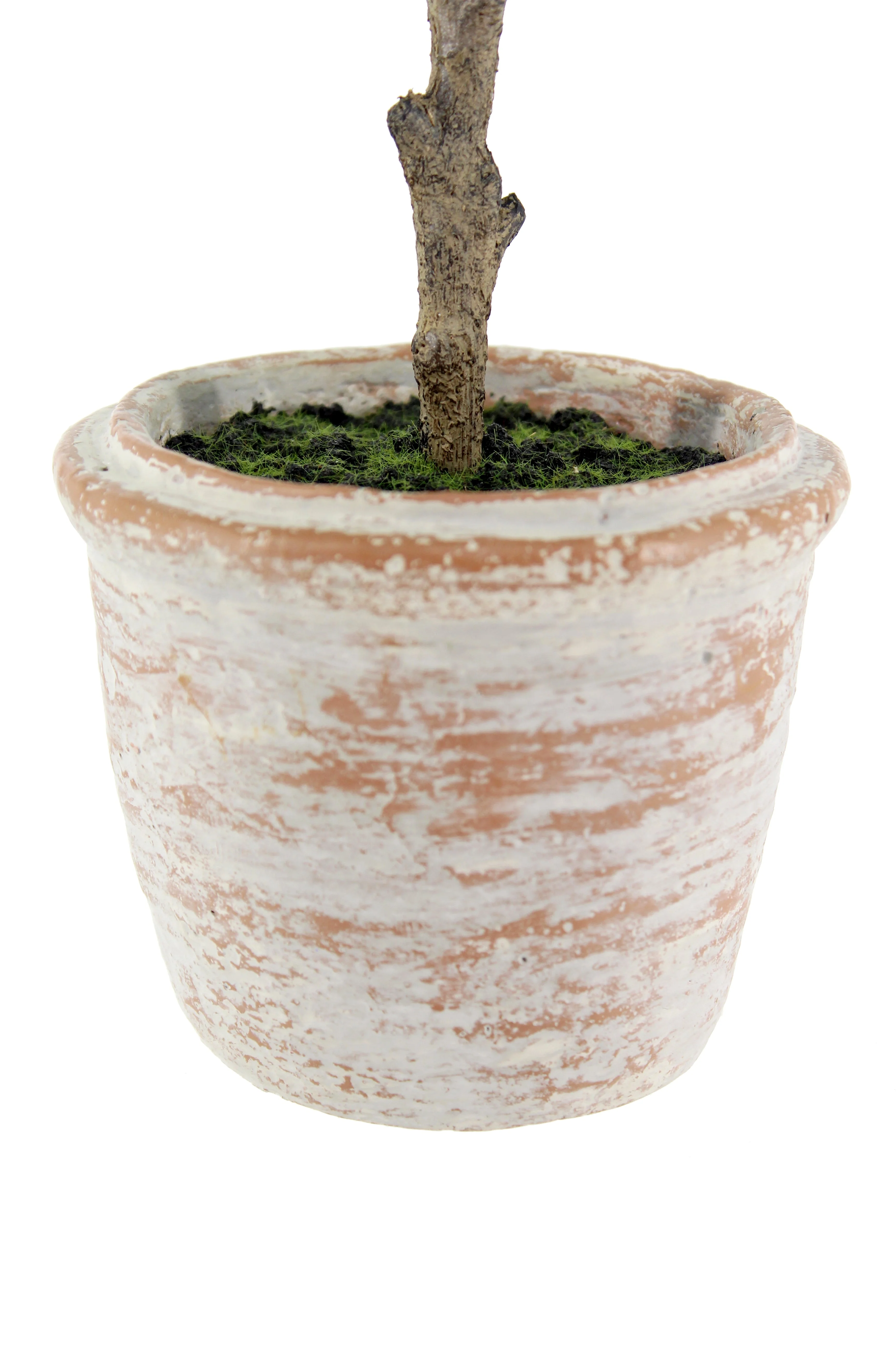 Faux 10 in Eucalyptus and 16 in Citrus Topiary Set - Image 4