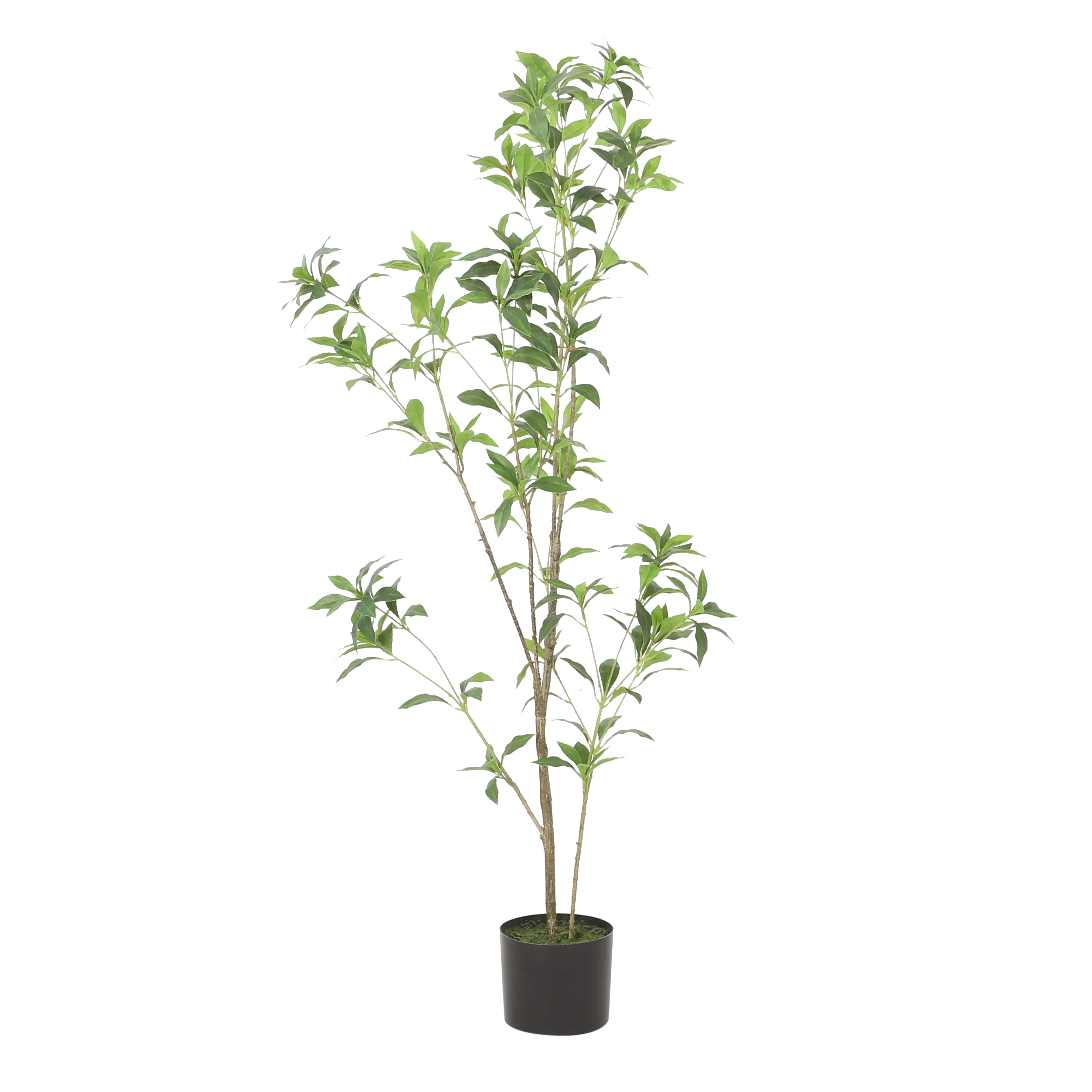 Faux Pieris Tree - Image 2