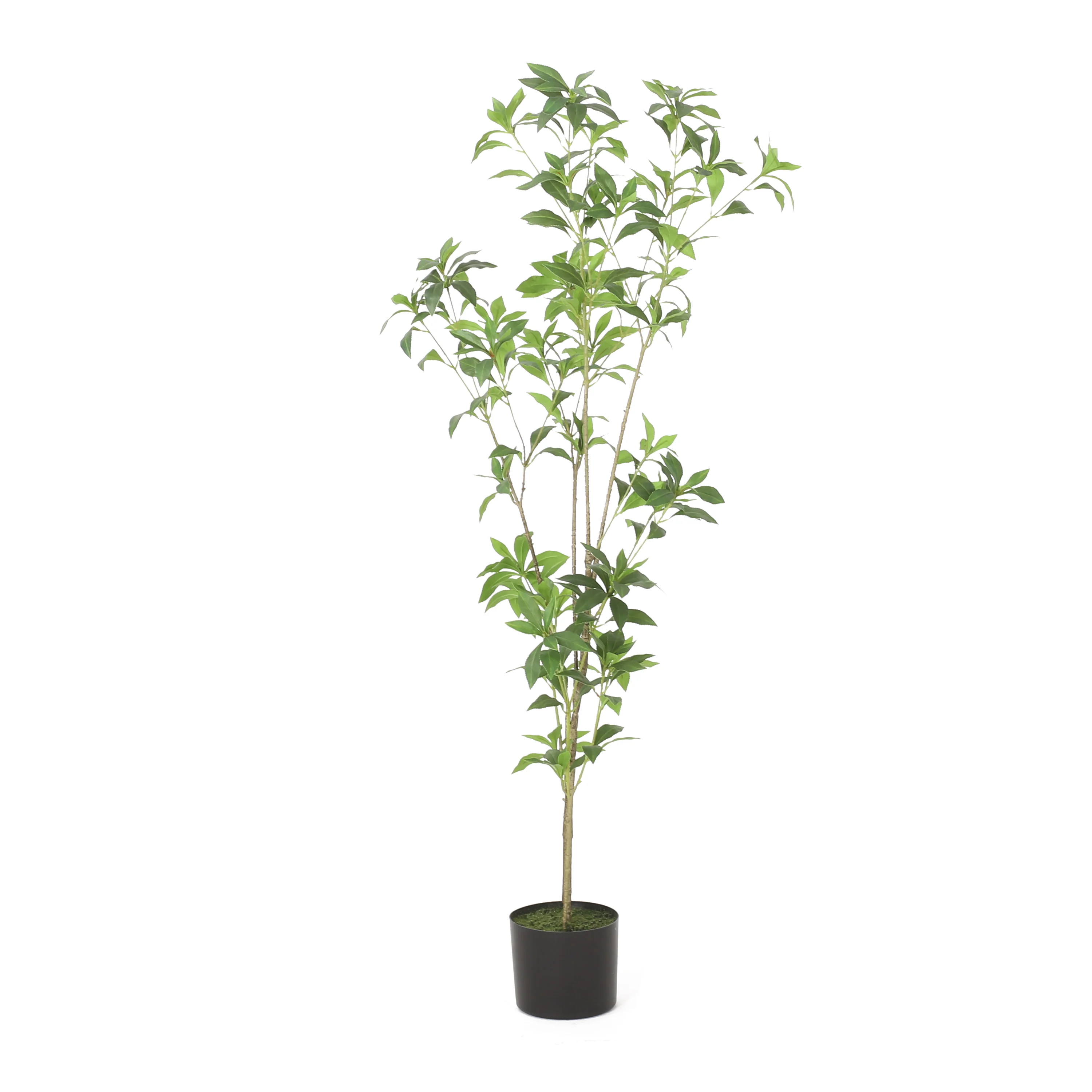 Faux Pieris Tree - Image 5