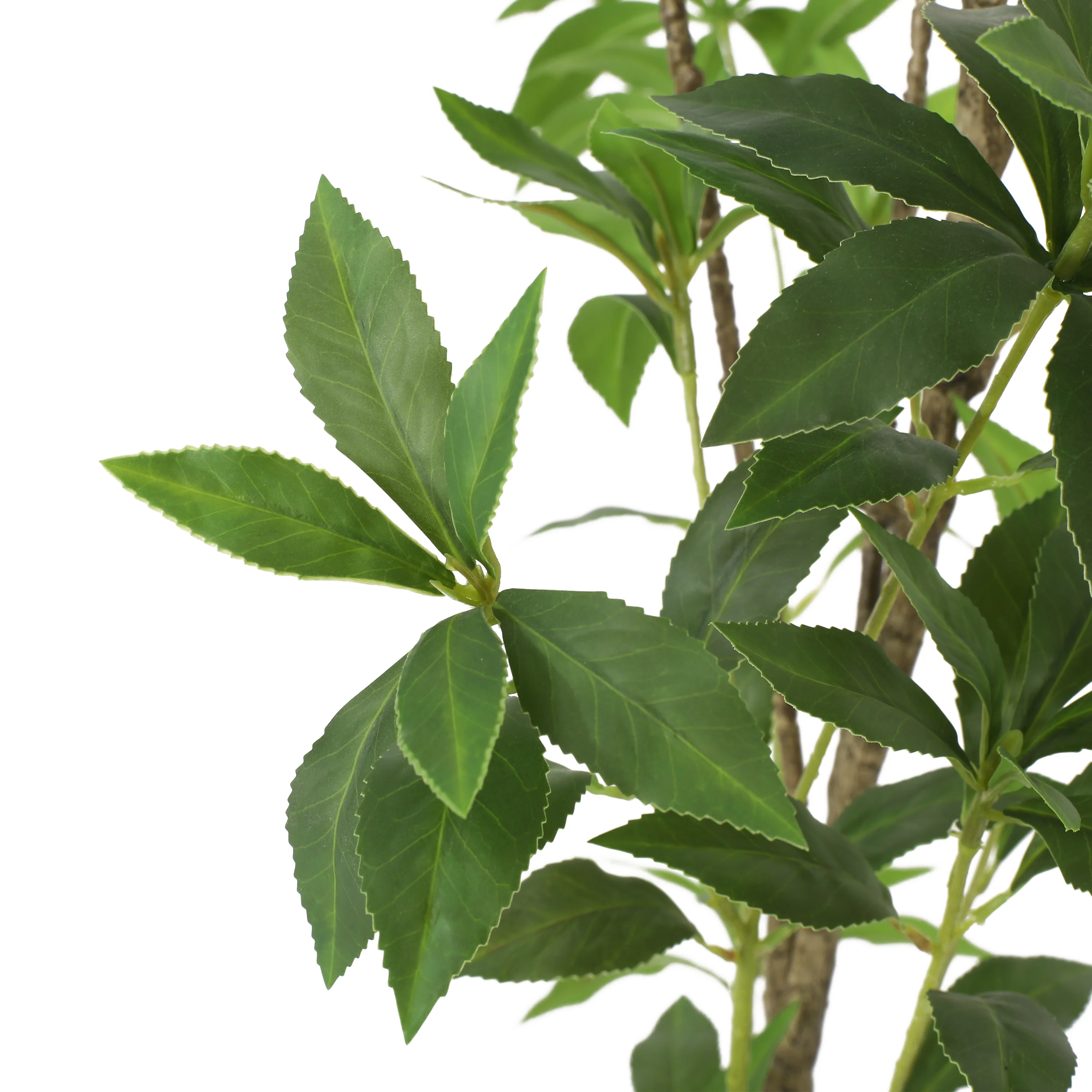 Faux Pieris Tree - Image 6