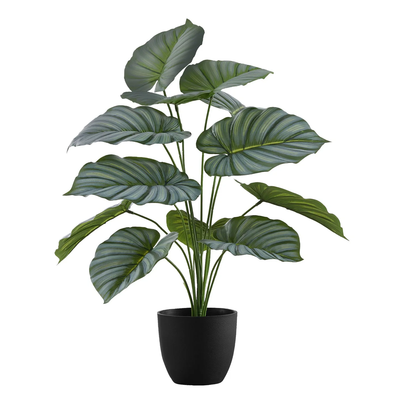 24" Tall Artificial Calathea Plant with Black Pot