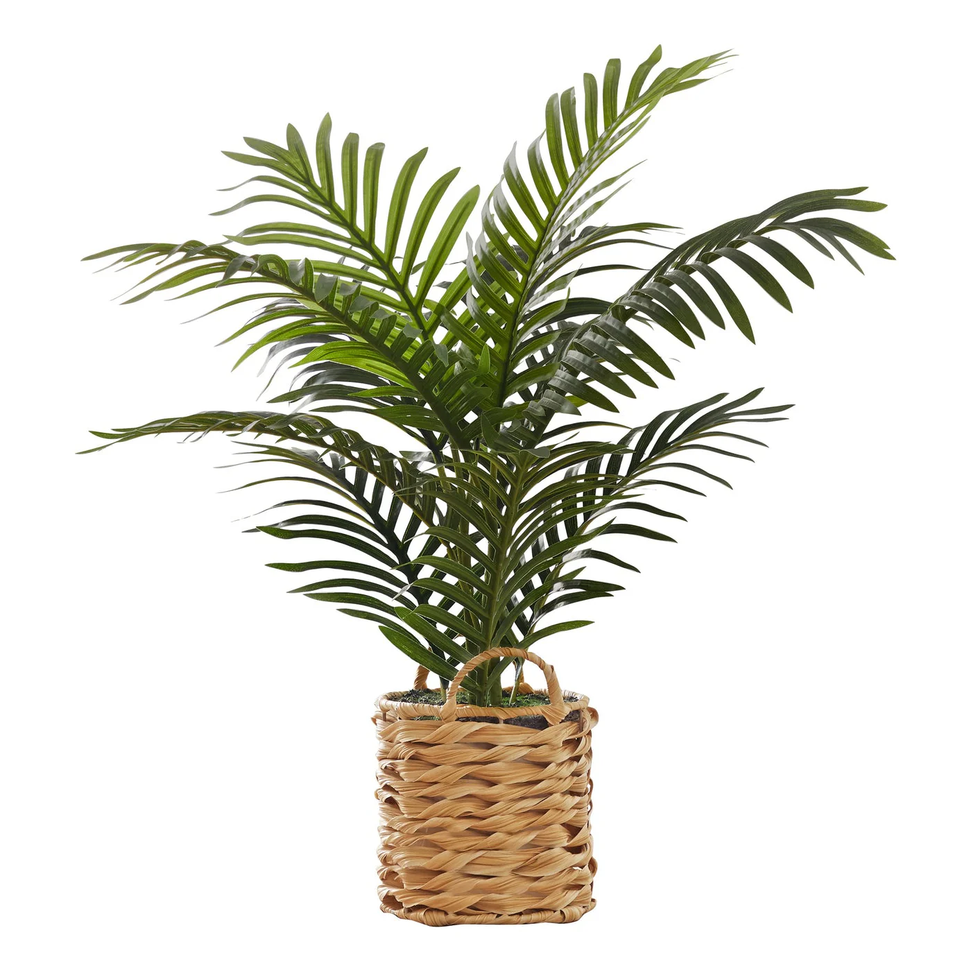 24" Tall Artificial Palm Plant with Woven Basket