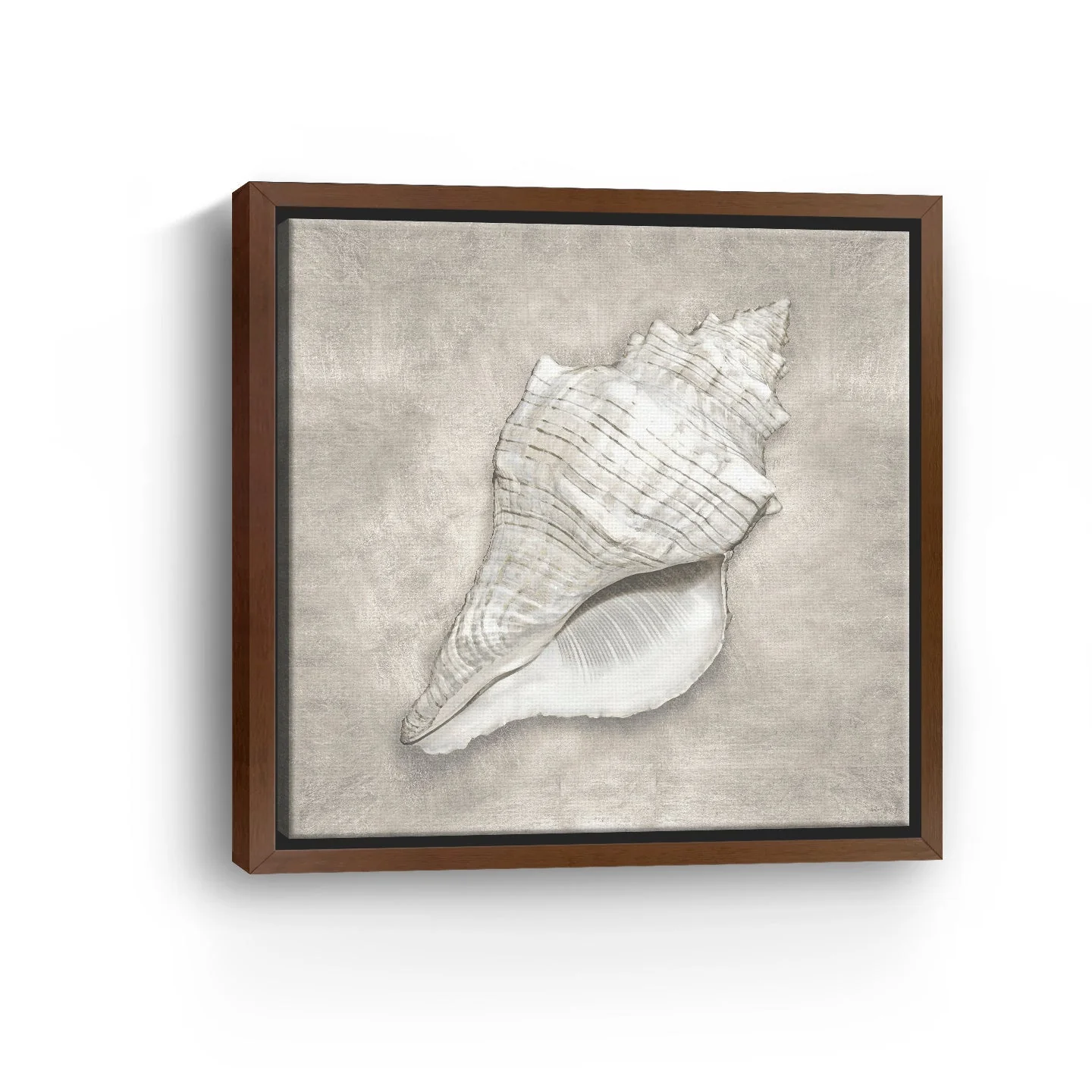 Pewter Seashells I Canvas Giclee - Image 3