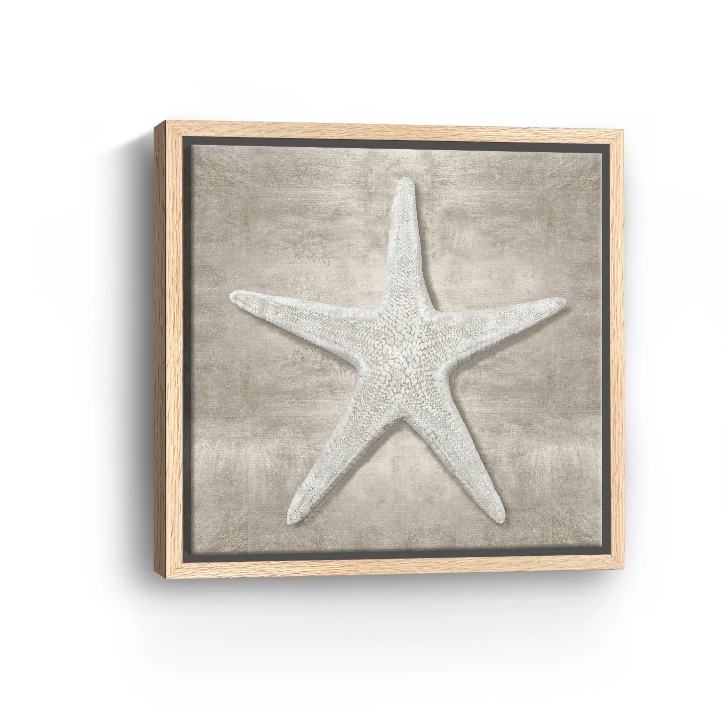 Pewter Seashells III Canvas Giclee - Image 3