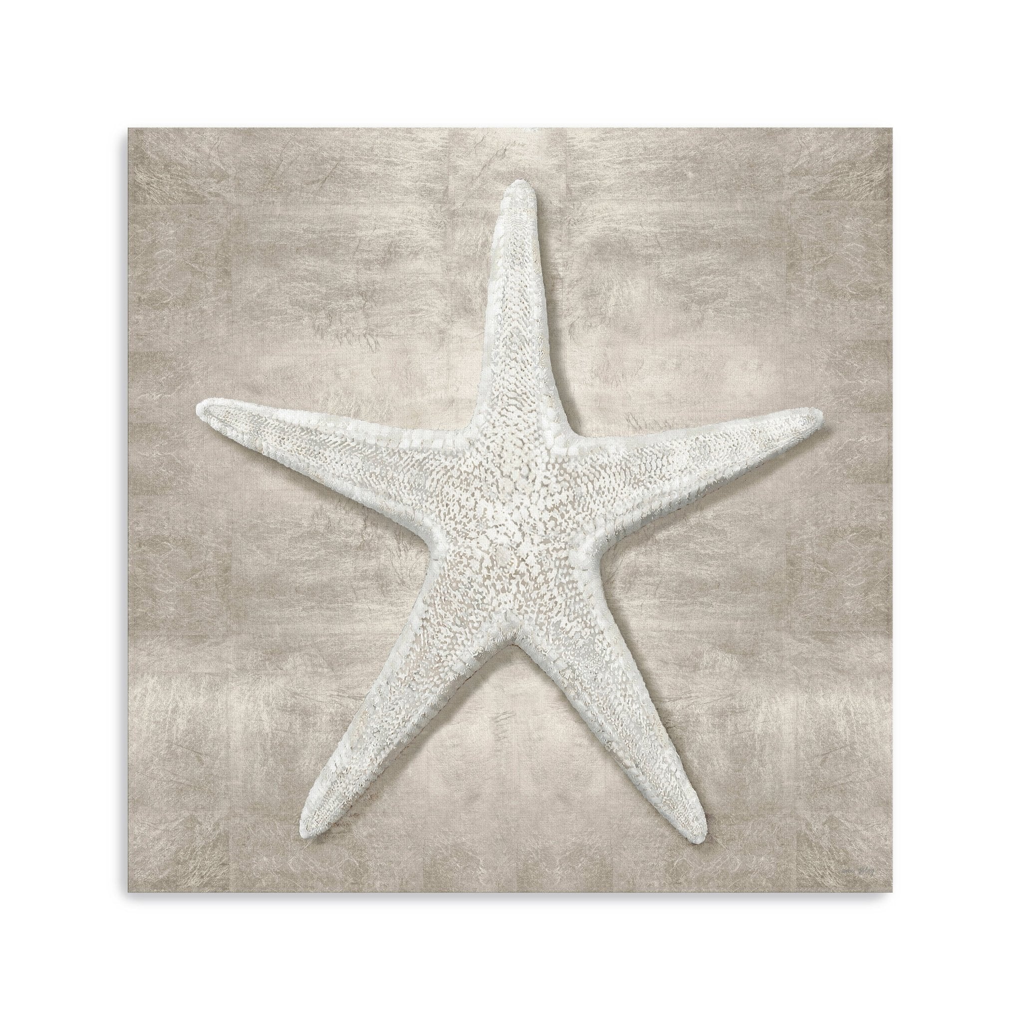Pewter Seashells III Canvas Giclee - Image 4