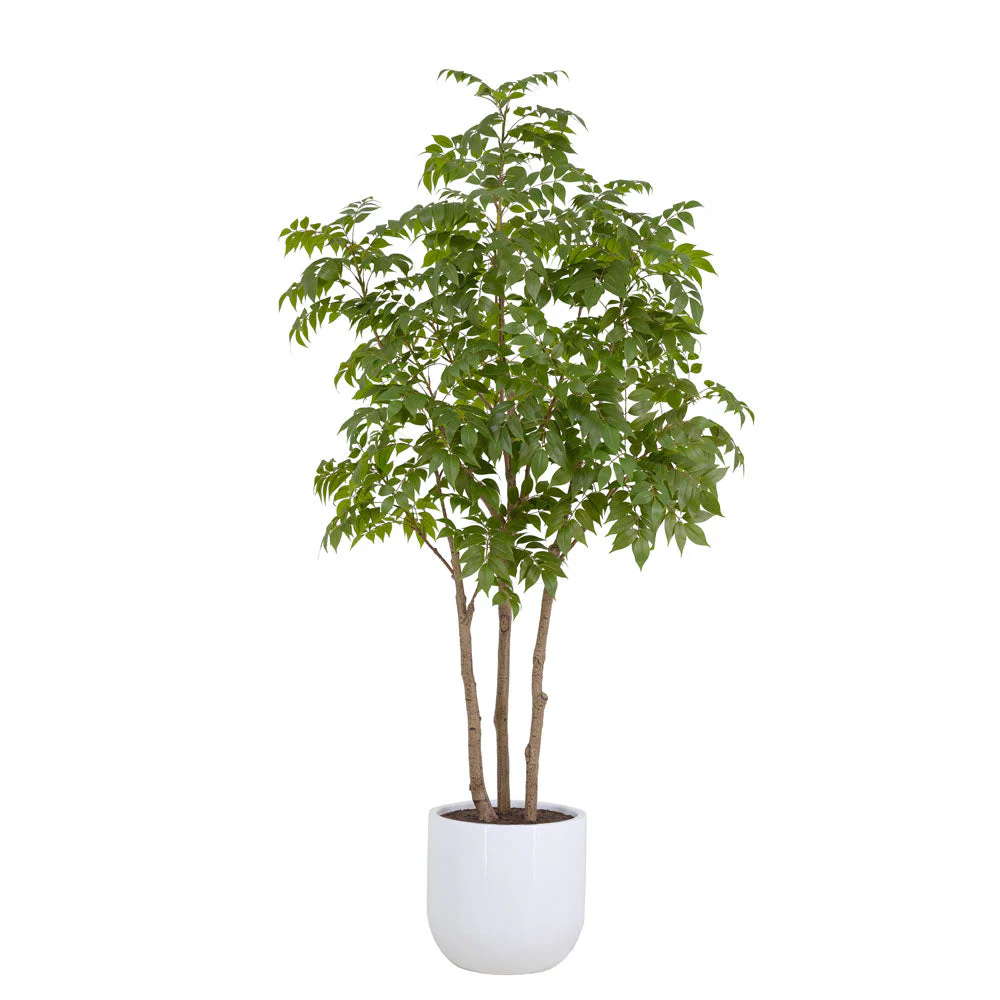 Faux Potted Sumac Tree, 7 ft