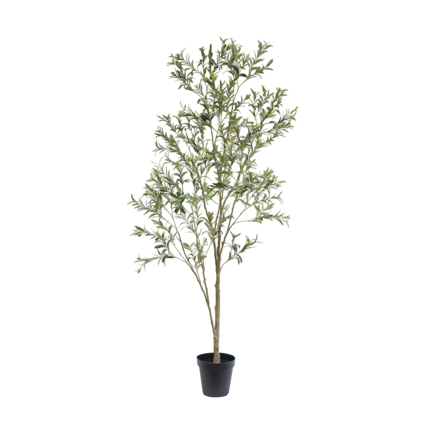 Faux Wispy Olive Tree, 7 ft