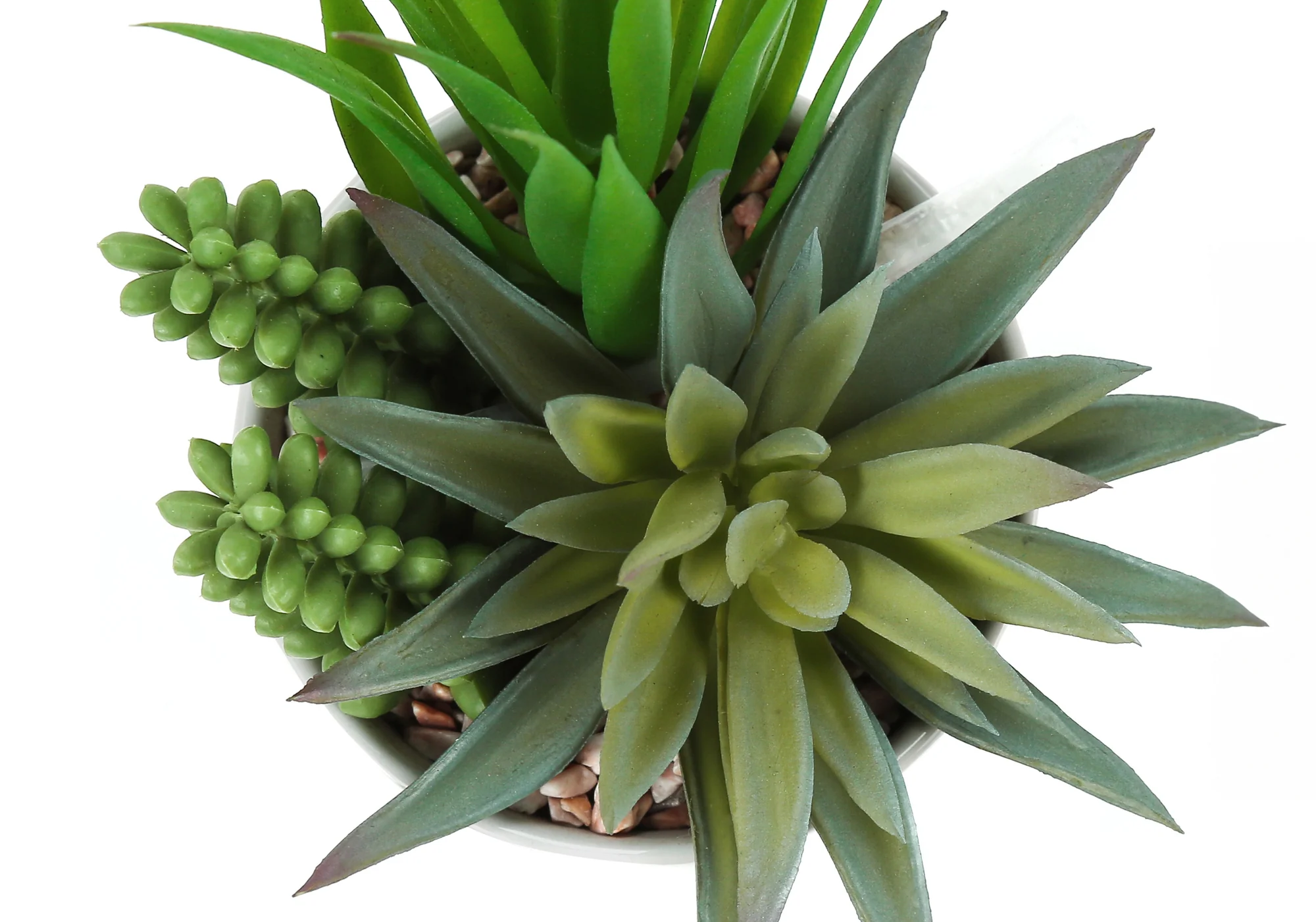 7" Tall Artificial Succulent Plant with Pots, Set of 2 - Image 5