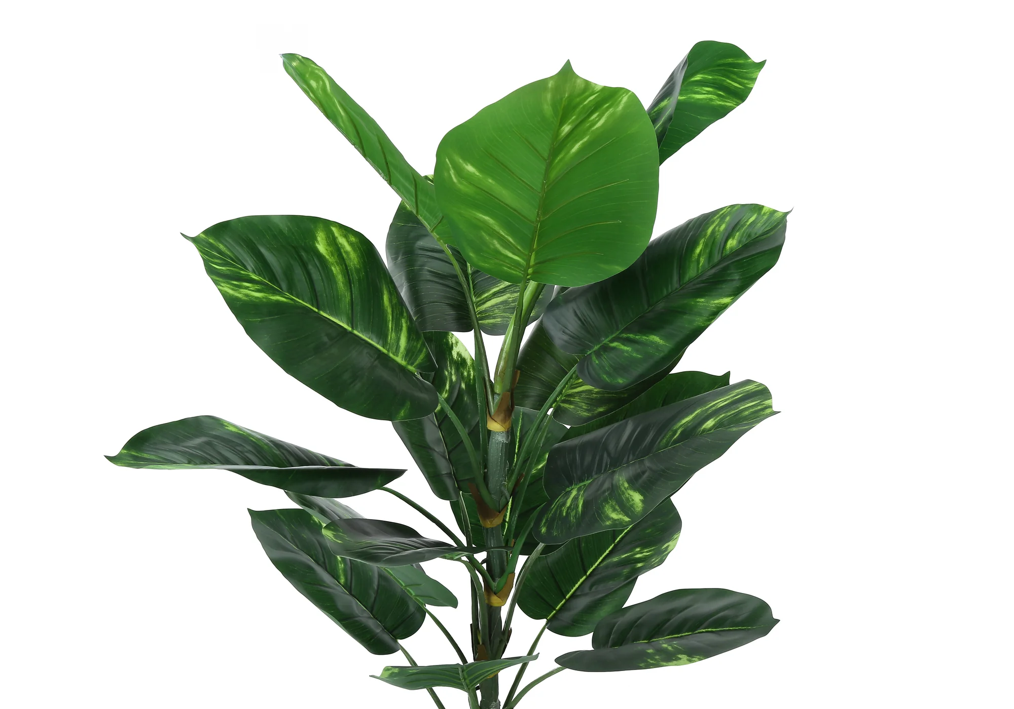 54" Faux Dieffenbachia Tree - Image 5