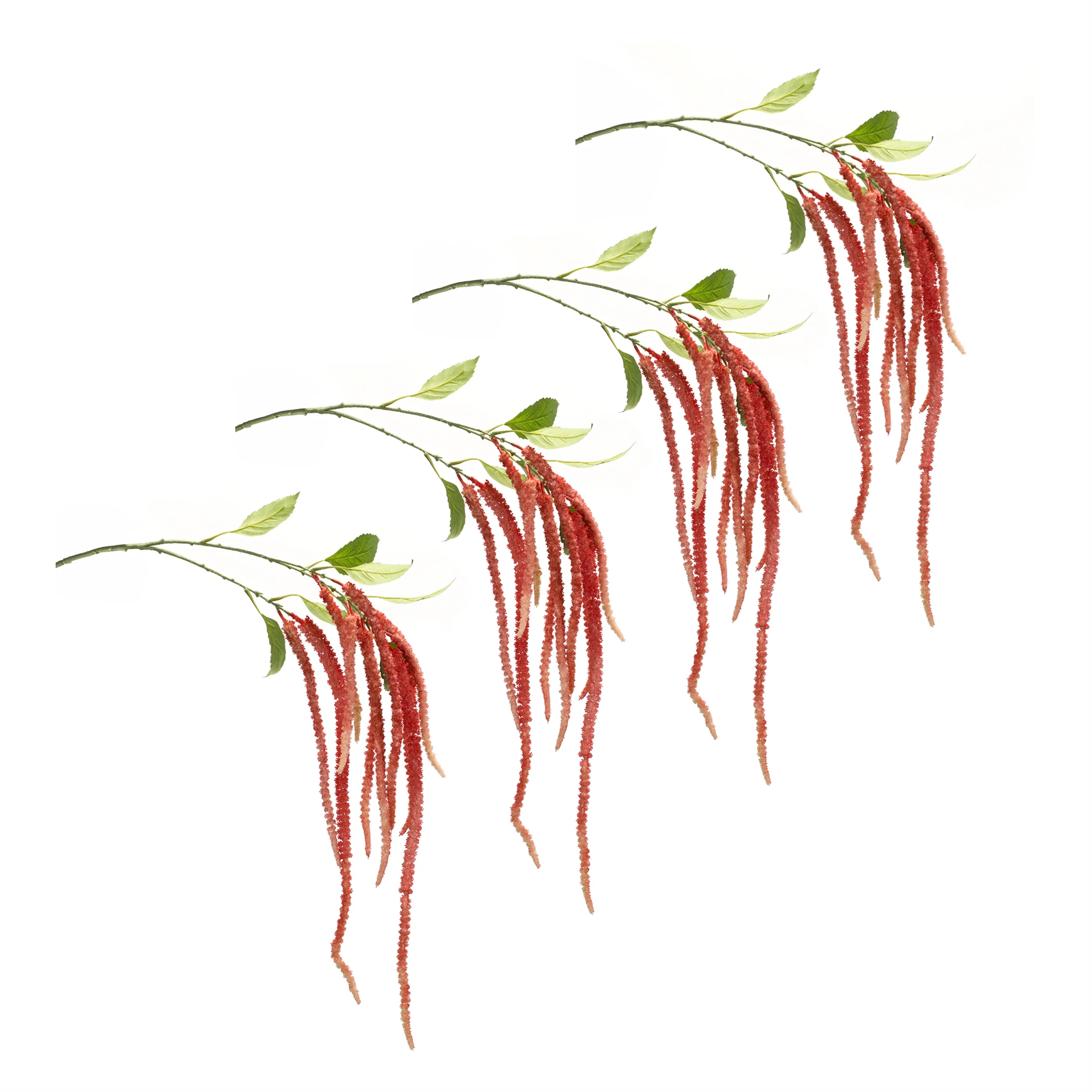 Amaranthus Floral Stem, Set of 4 - Image 3