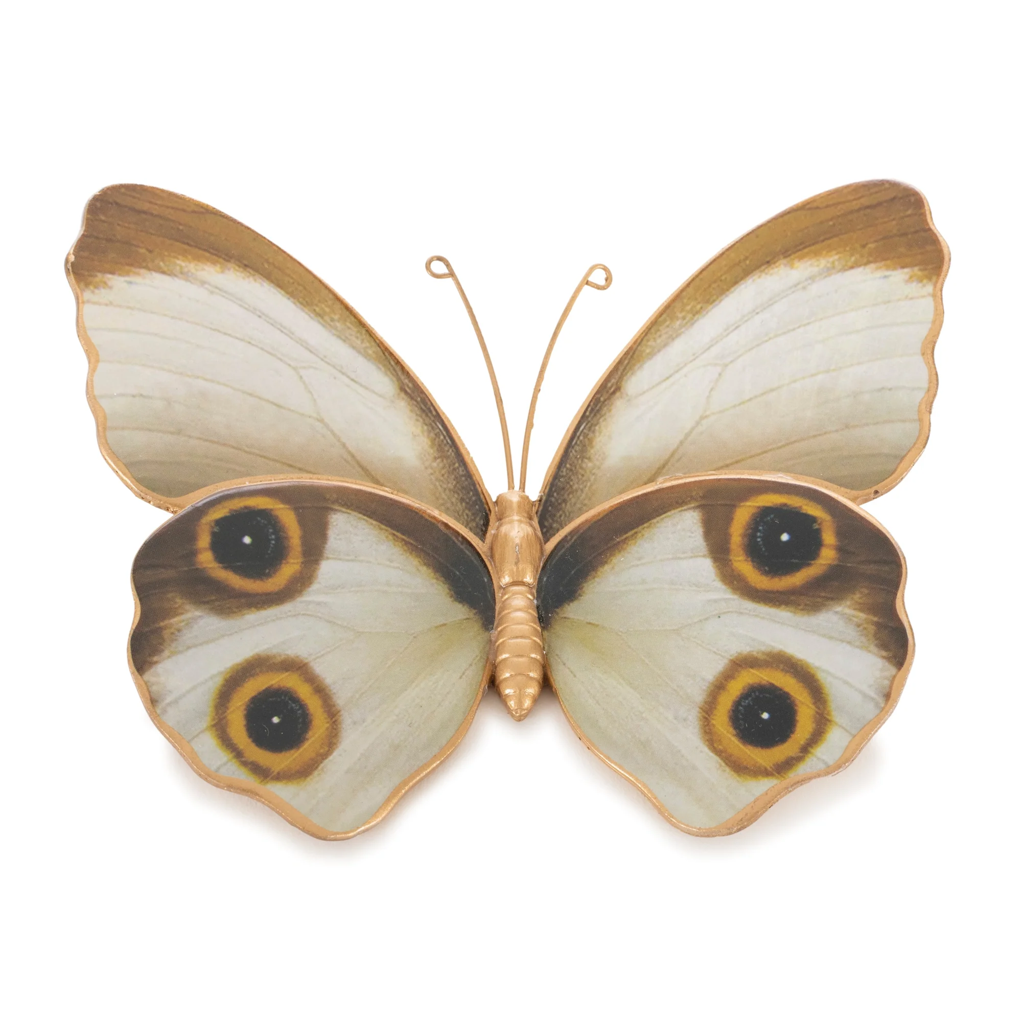 Amber Butterfly and Moth Shelf Sitter, Set of 2 - Image 3