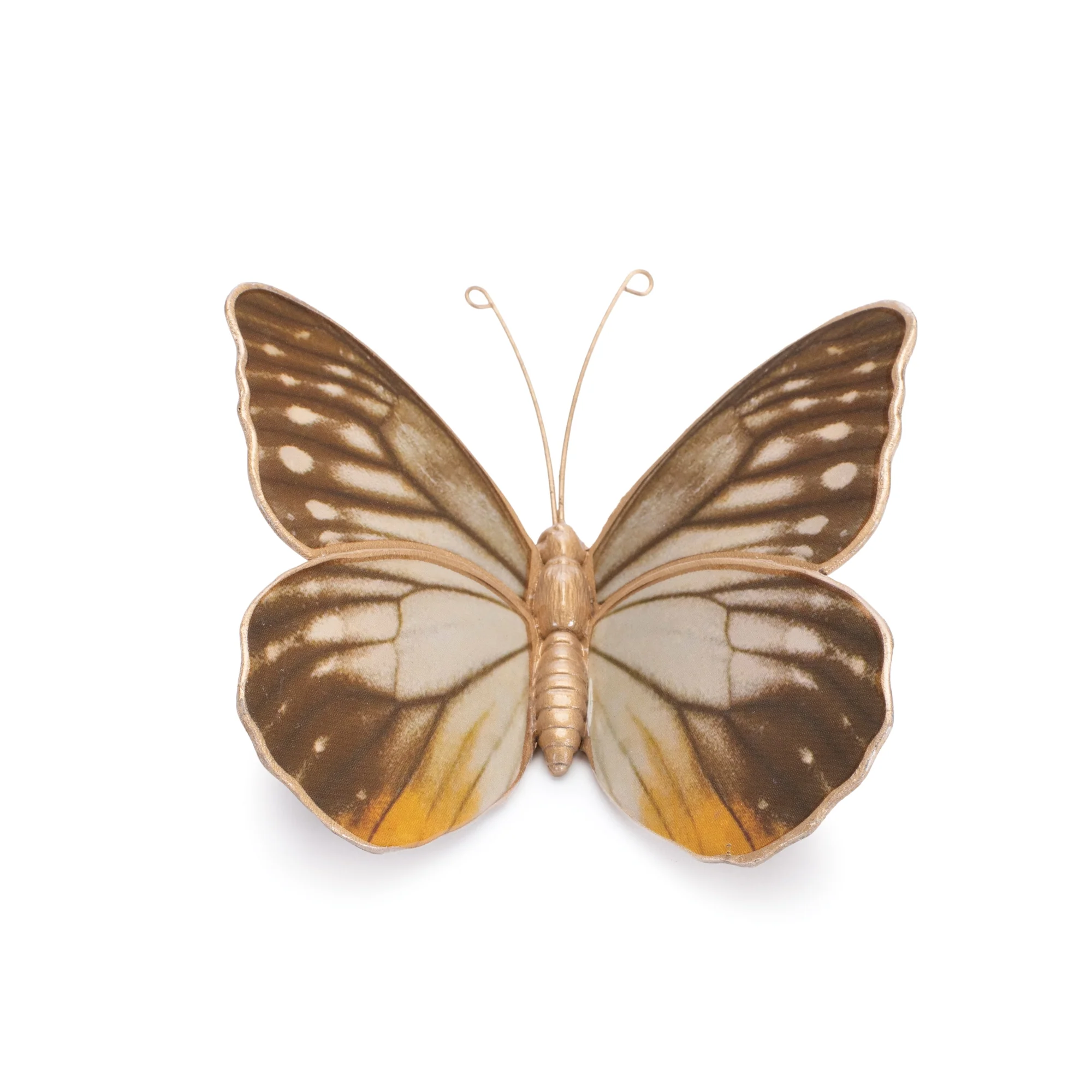 Amber Butterfly and Moth Shelf Sitter, Set of 2 - Image 4