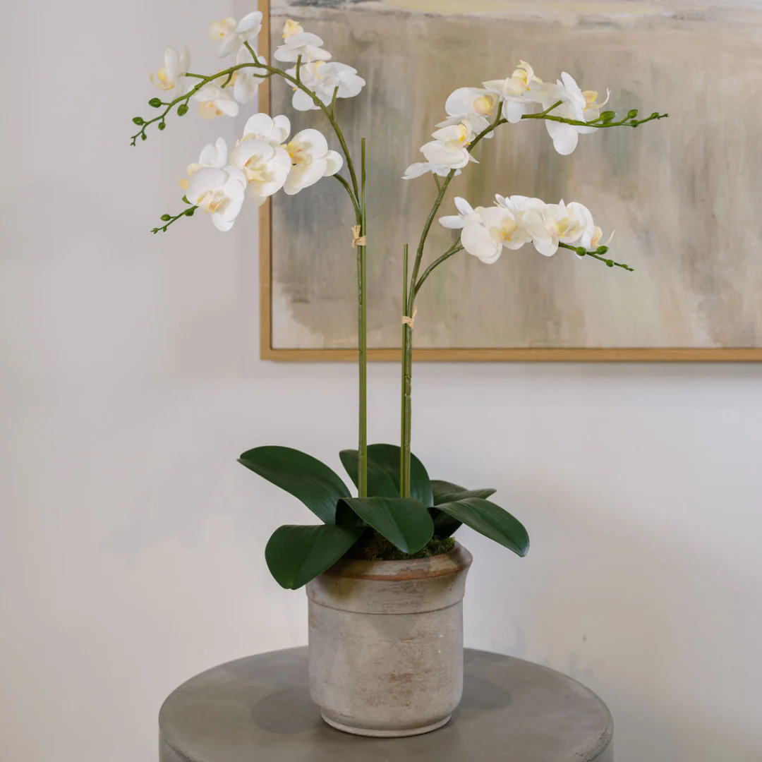 Faux Potted Phalaenopsis Orchid, 24 in - Image 2