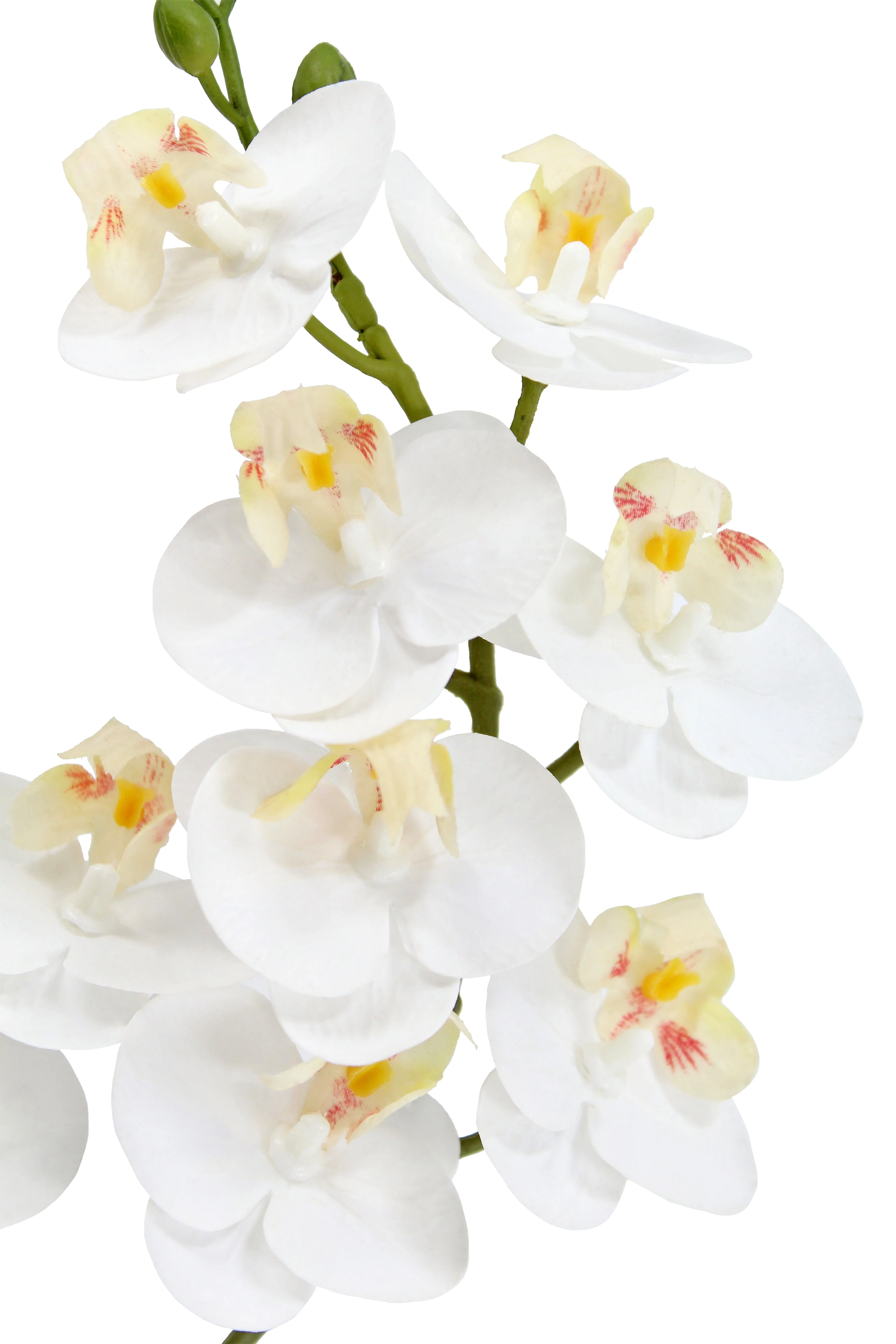 Faux Potted Phalaenopsis Orchid, 24 in - Image 3