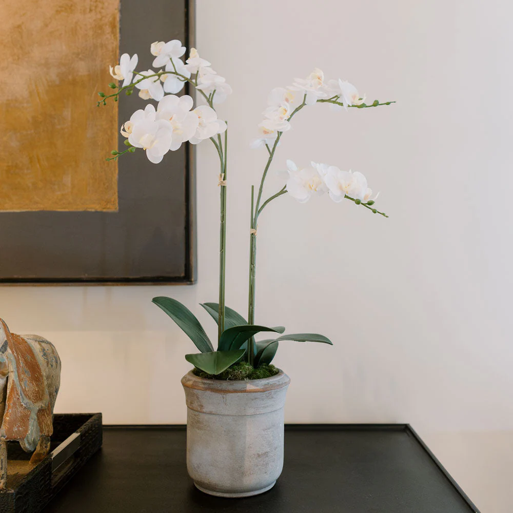 Faux Potted Phalaenopsis Orchid, 24 in - Image 5