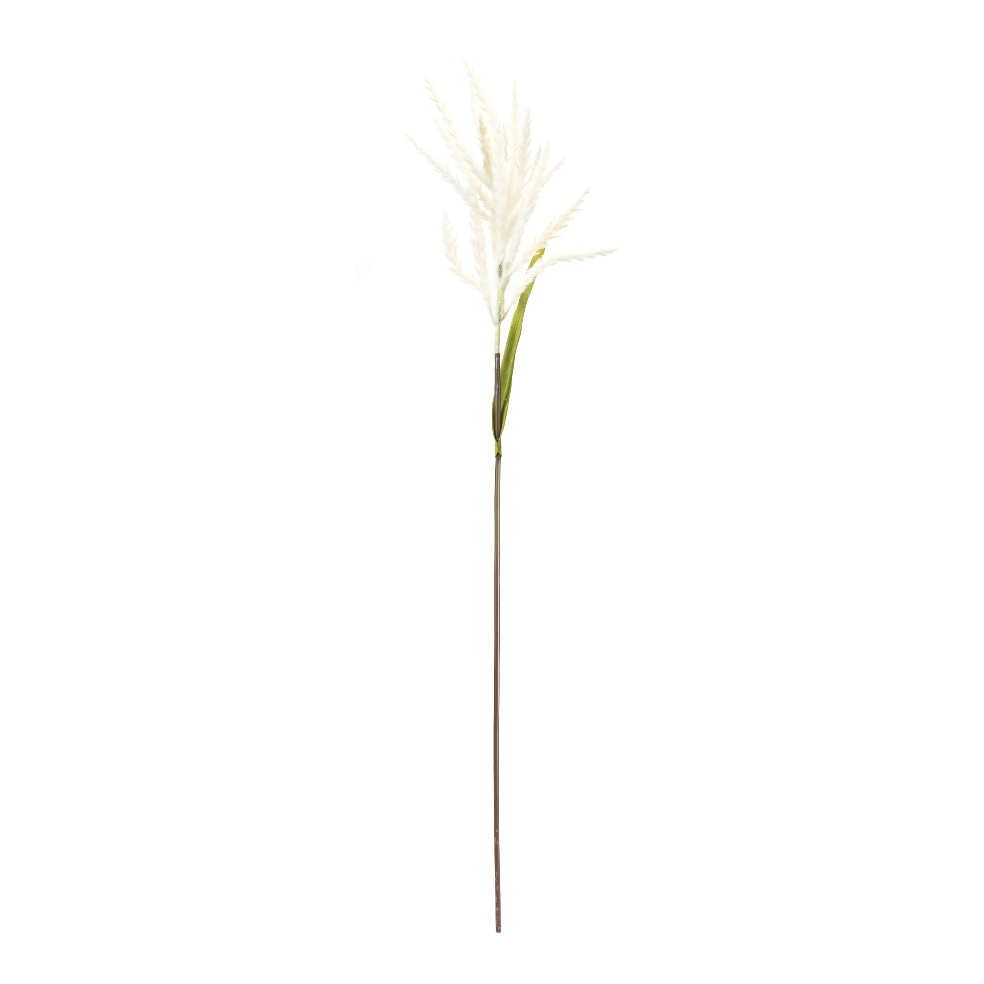 Astilbe Stems, Set of 6 - Image 2