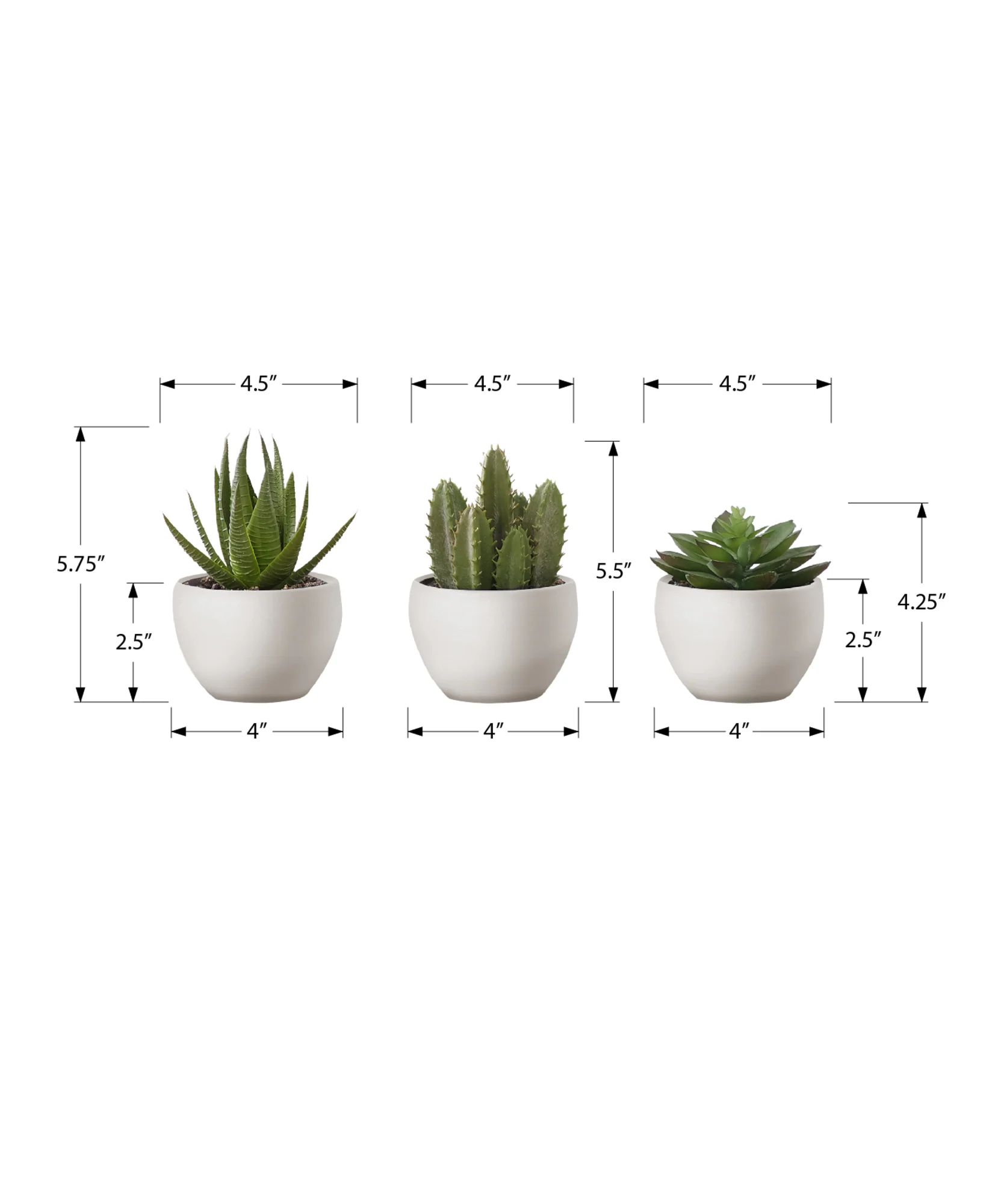 6" Faux Succulents with White Pot, Set Of 3 - Image 3
