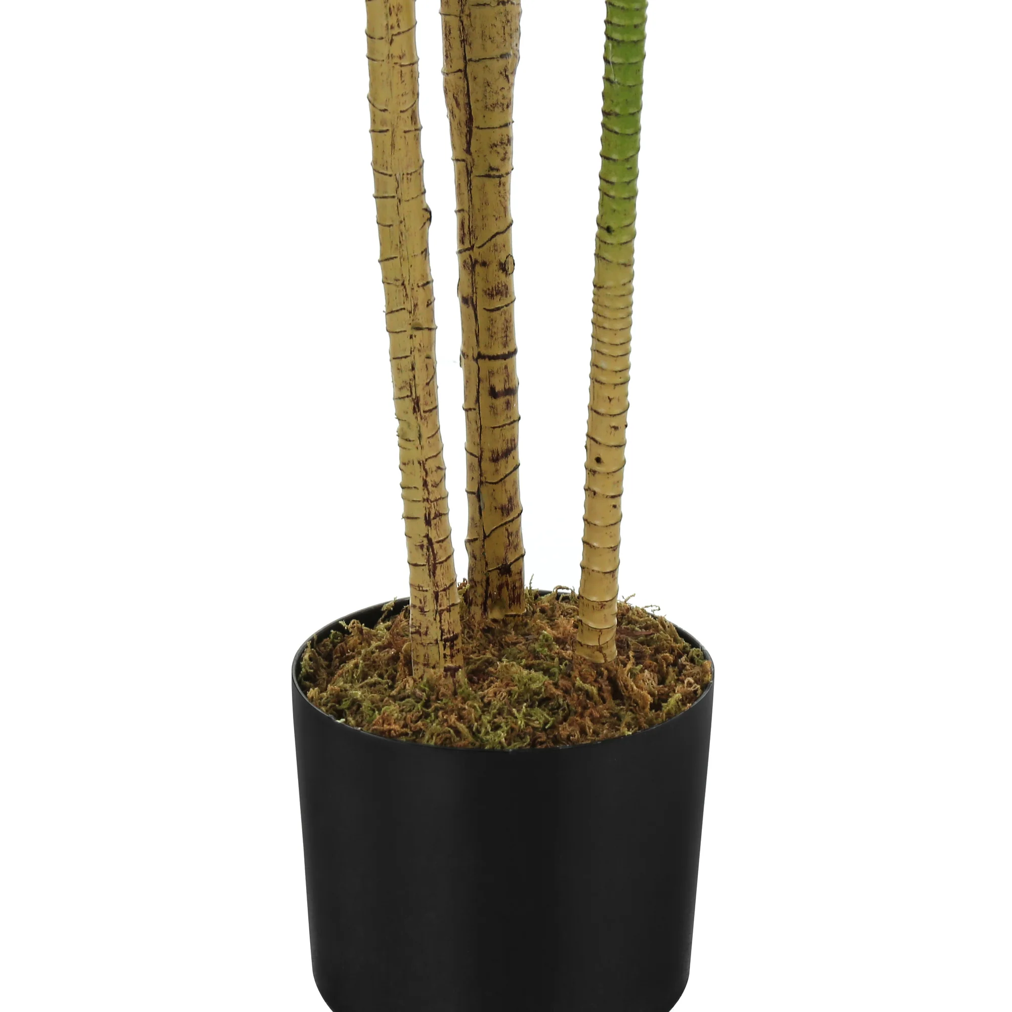 51" Faux Dracaena Tree - Image 5