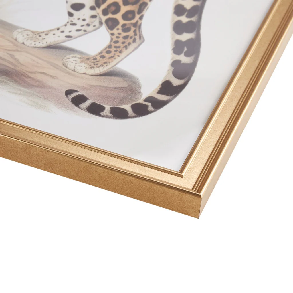 Cheetah Framed Graphic Wall Decor, Set of 2 - Image 4