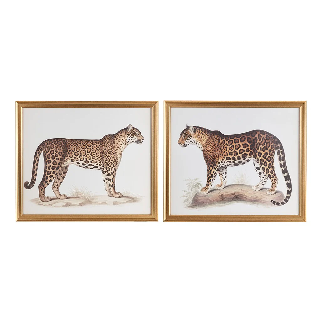 Cheetah Framed Graphic Wall Decor, Set of 2 - Image 6