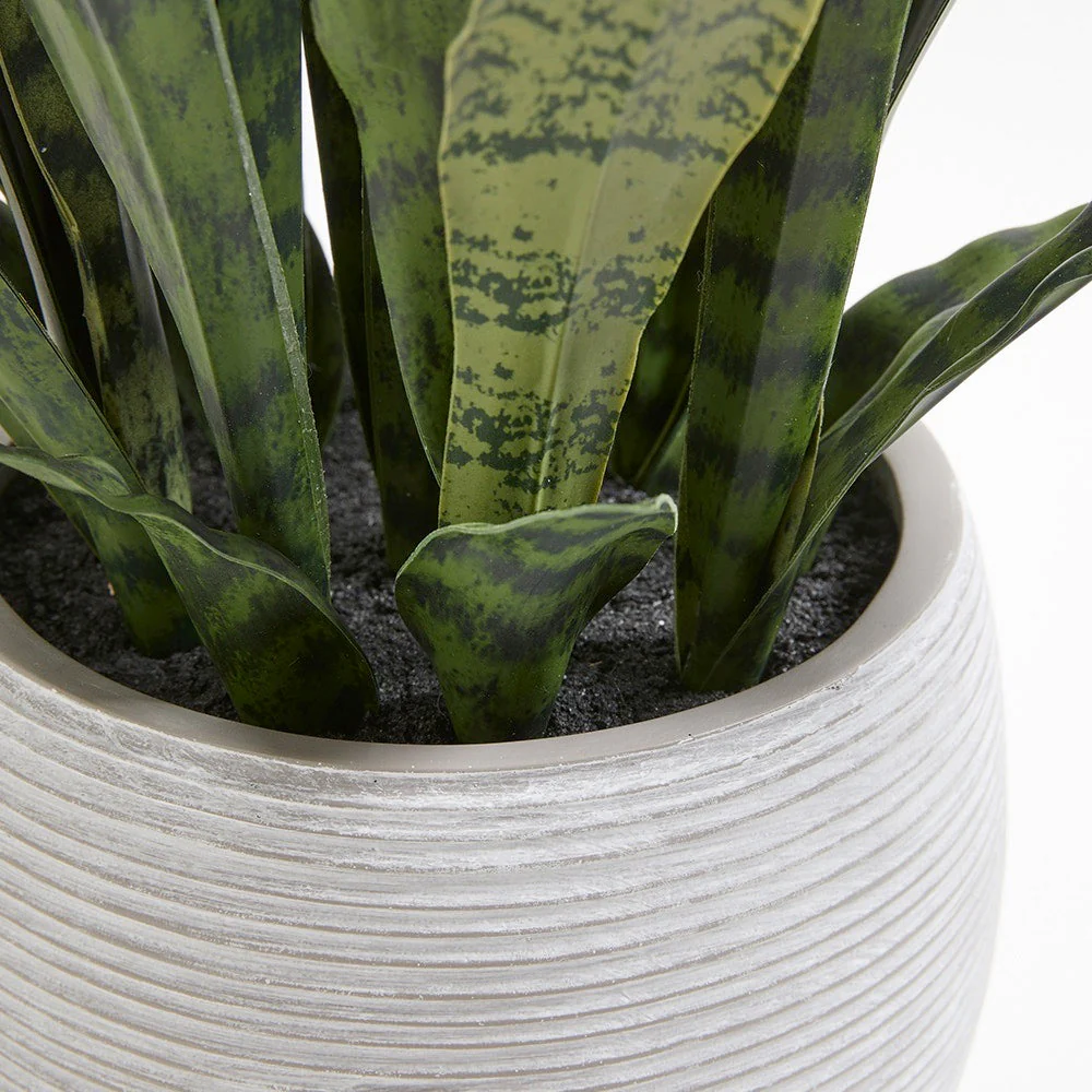Faux Potted Snake Plant in Grey, 40 in - Image 6