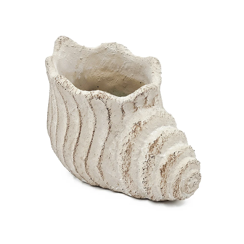 Conch Shell Planter with Textured Finish - Image 14