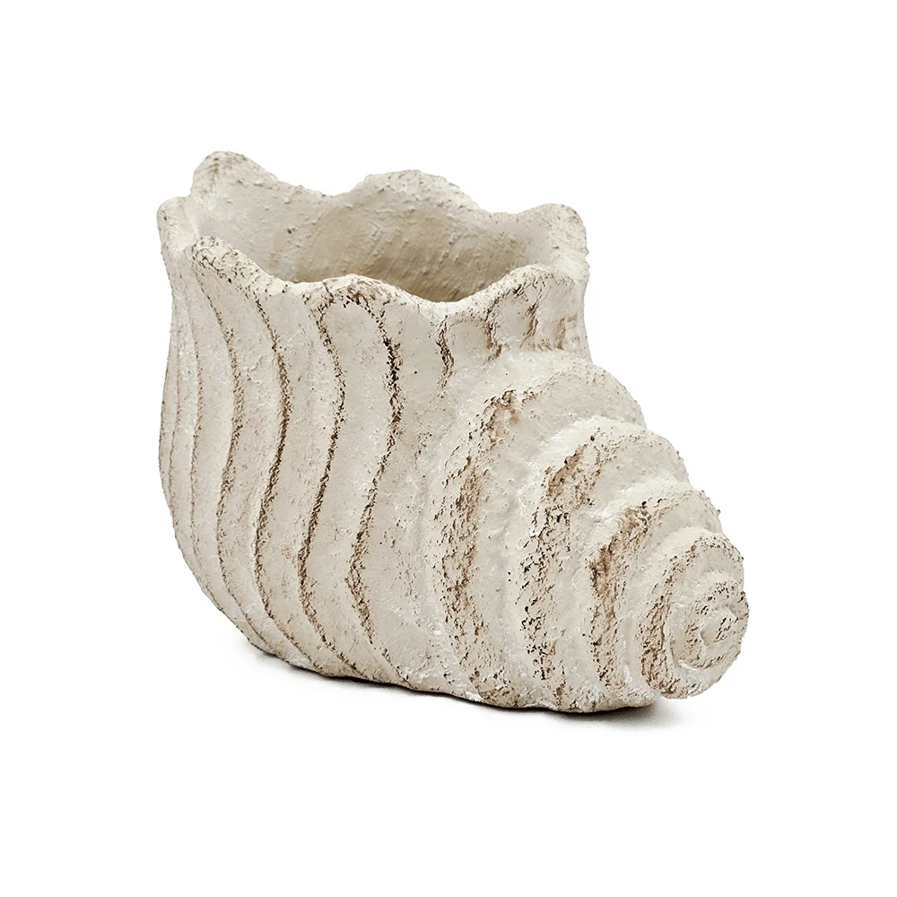Conch Shell Planter with Textured Finish - Image 16