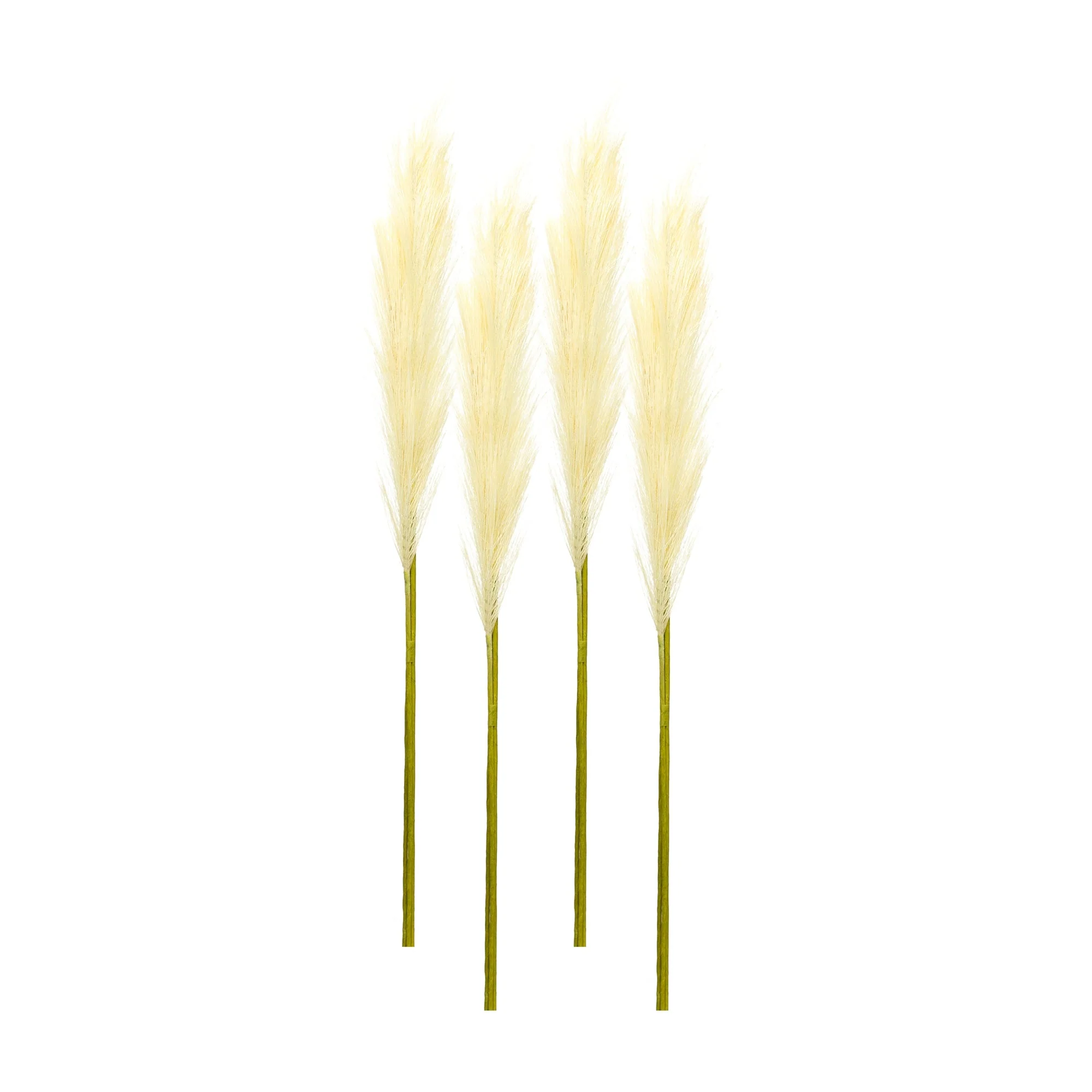 Cream Pampas Grass Stem, Set of 4