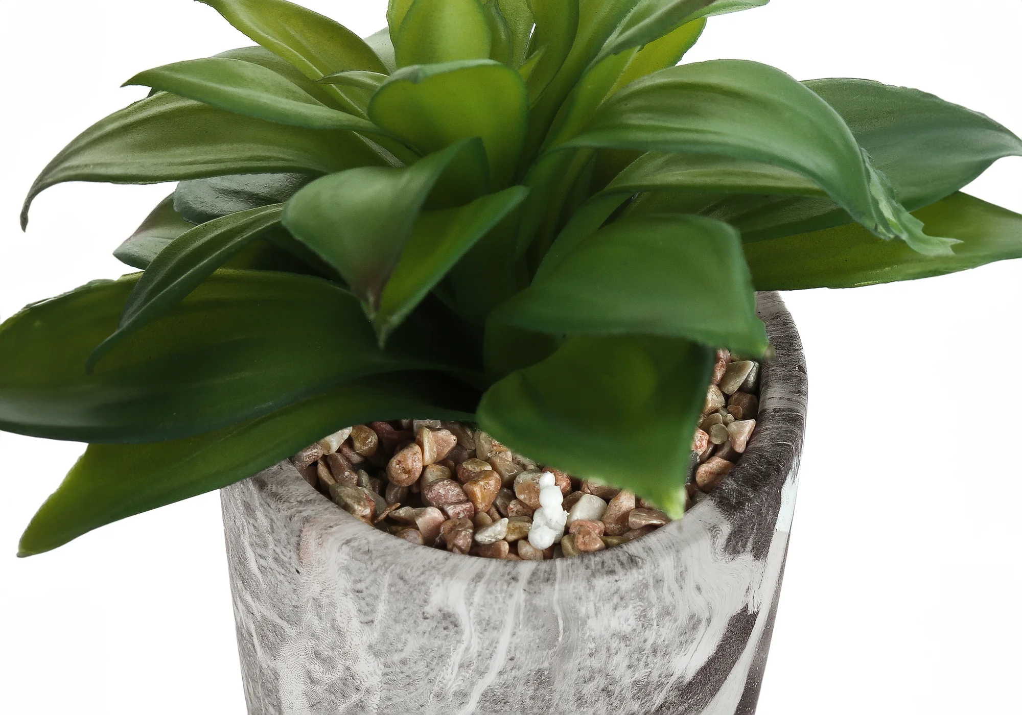6" Faux Succulents with Cement Pots, Set of 2 - Image 4