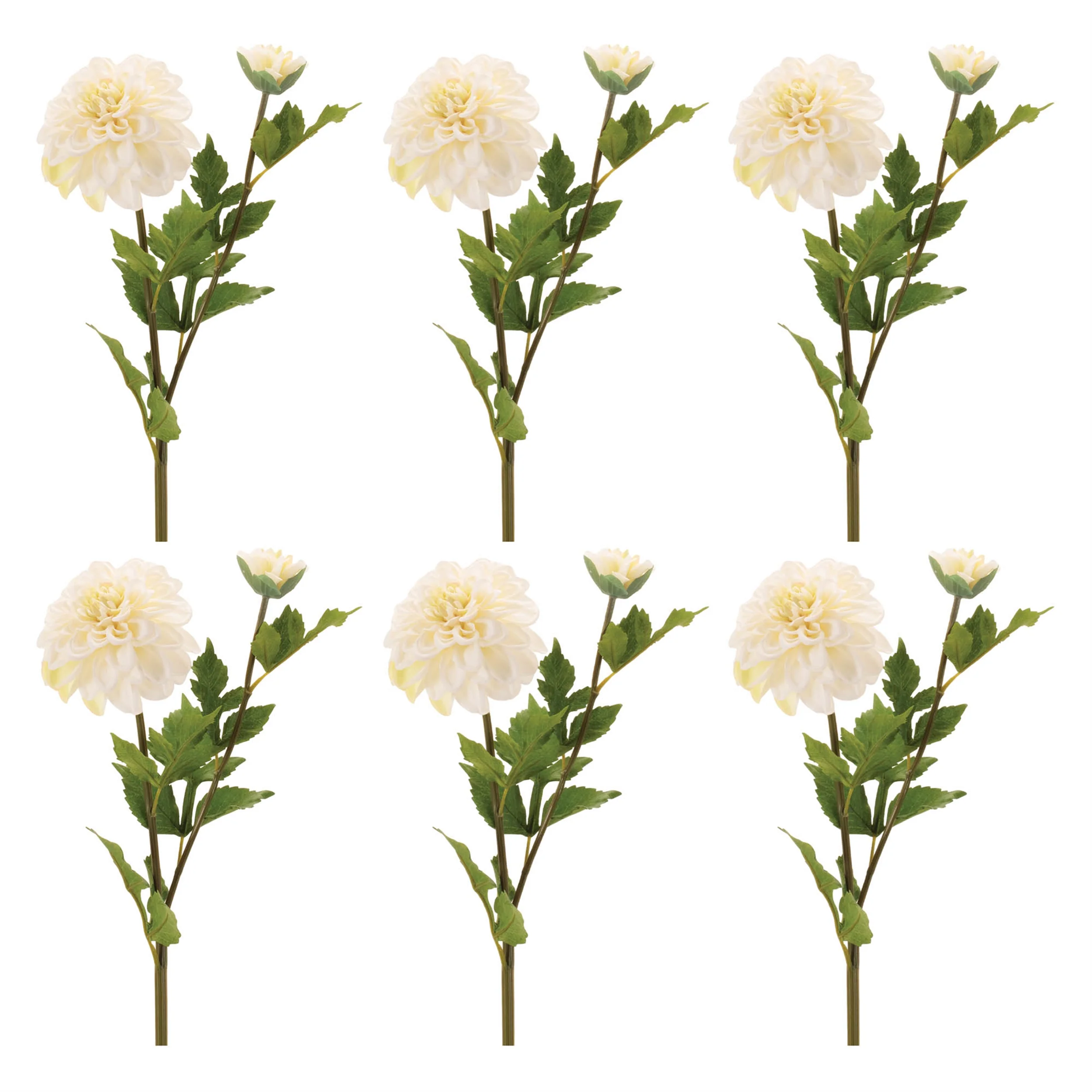 Dahlia Flower Stem, Set of 6 - Image 3