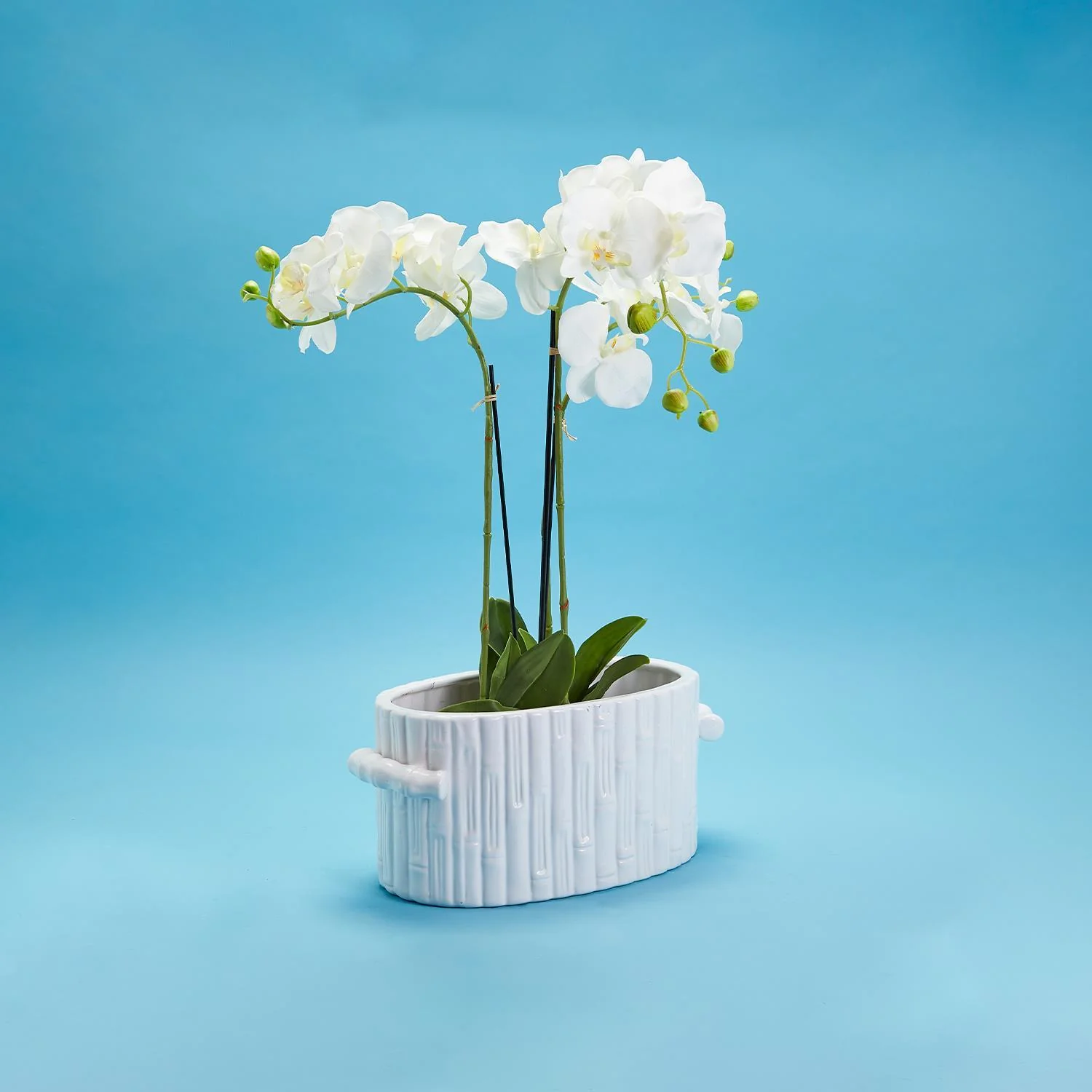 Faux Bamboo Oval Centerpiece / Cachepot with Handles - Image 3