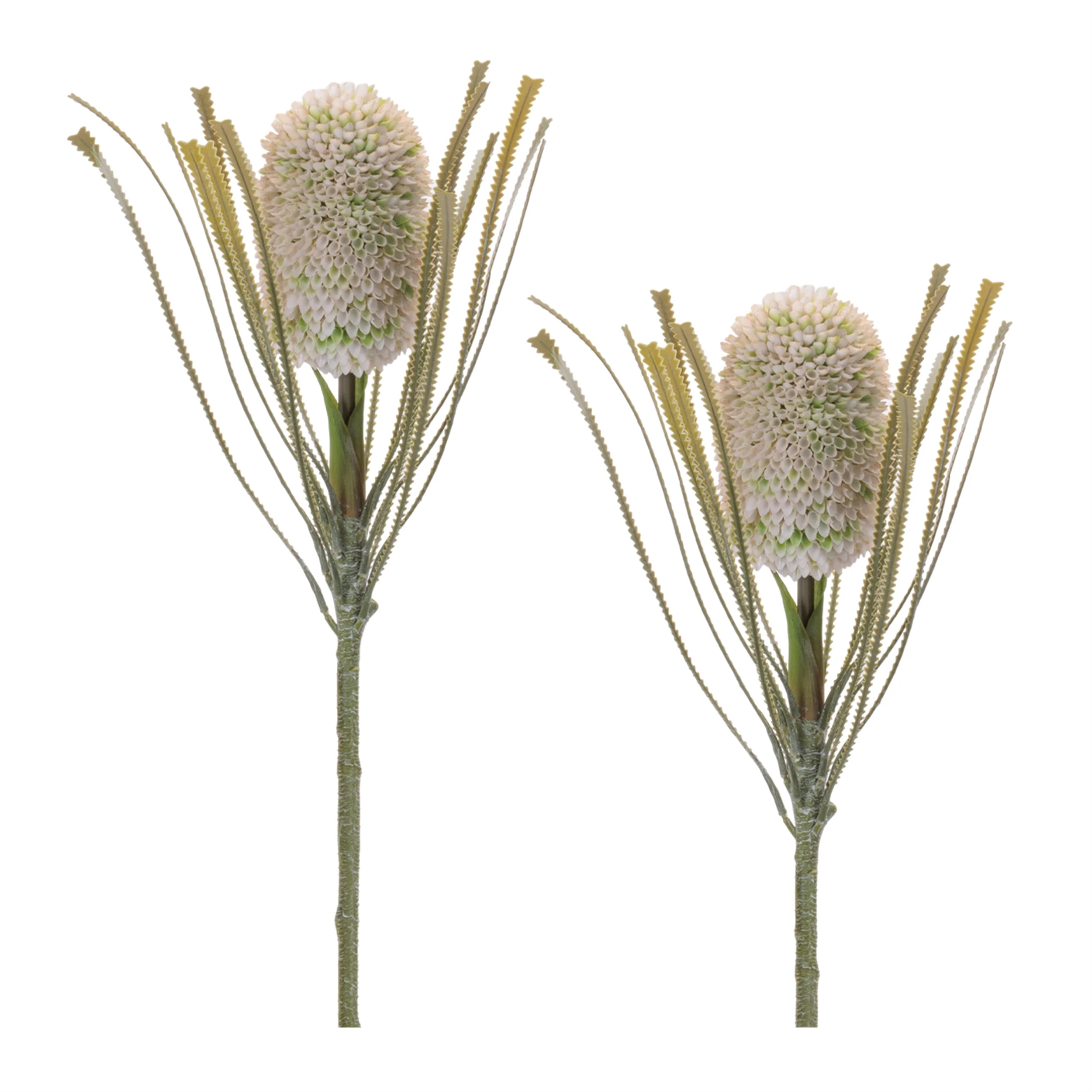 Green Protea Floral Stem, Set of 2