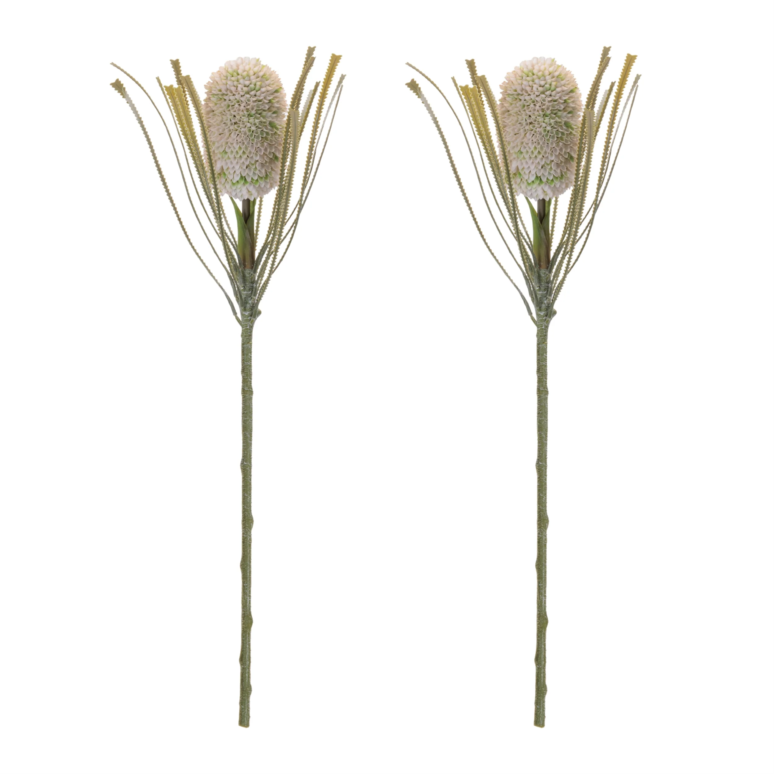 Green Protea Floral Stem, Set of 2 - Image 2