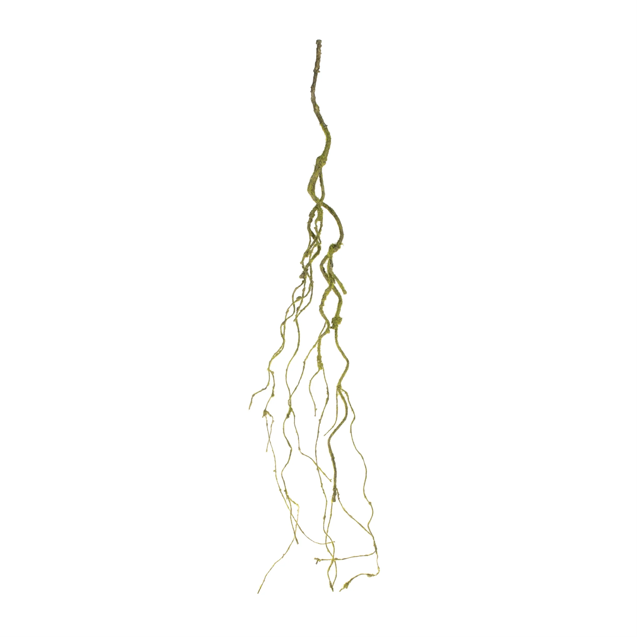 Mossy Twig Vine, Set of 6 - Image 2