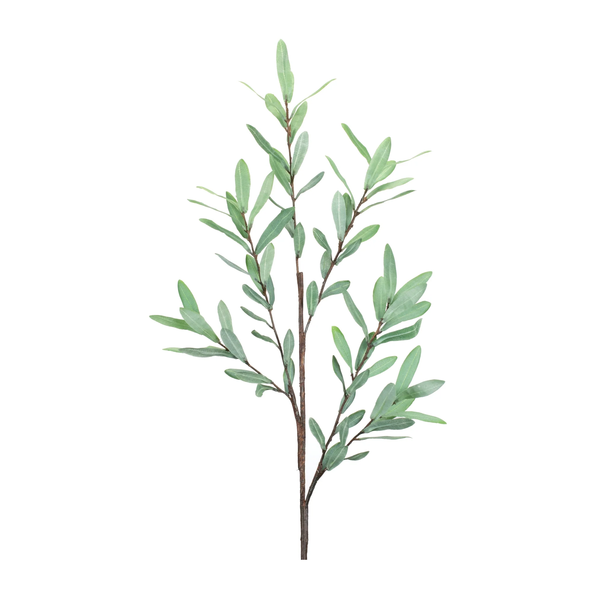 Olive Leaf Twig Branch, Set of 2