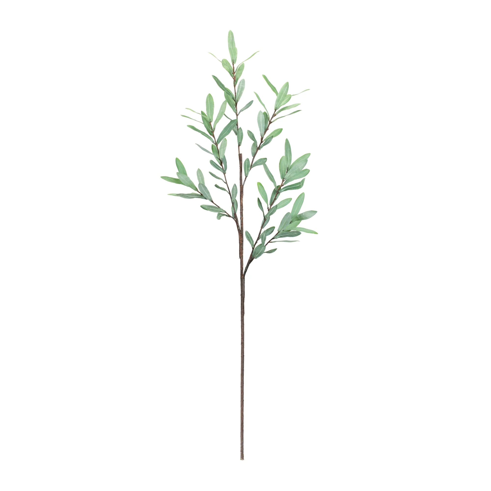 Olive Leaf Twig Branch, Set of 2 - Image 2