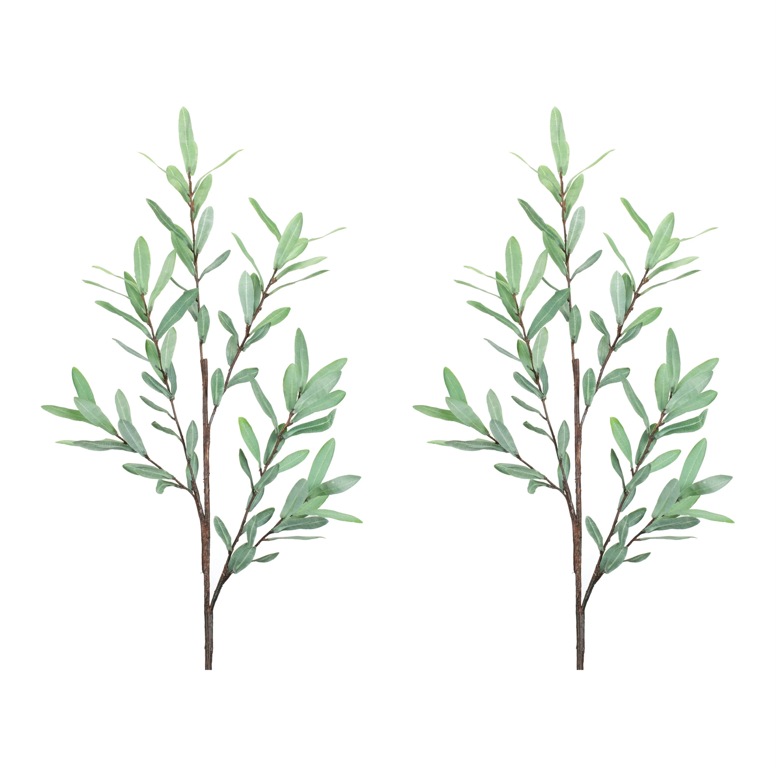 Olive Leaf Twig Branch, Set of 2 - Image 3