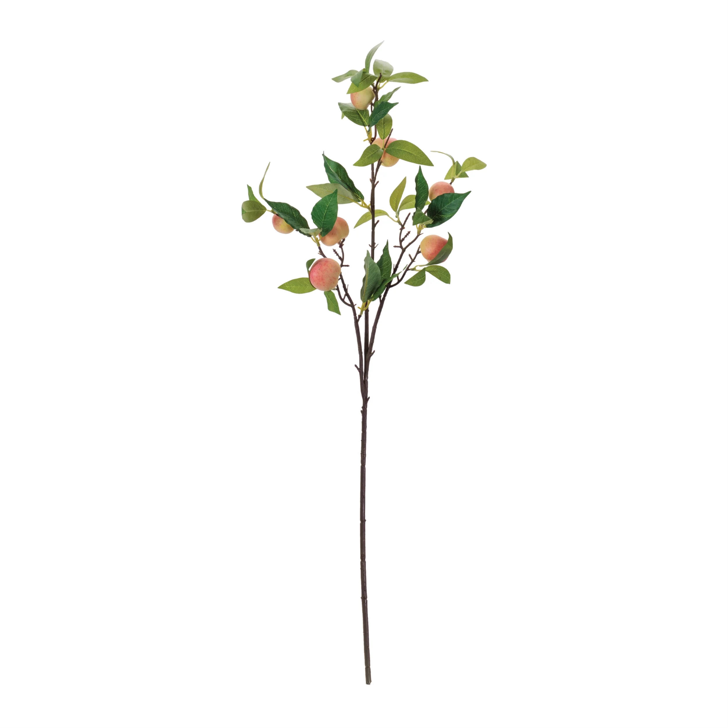 Peach Fruit Foliage Branch, Set of 6 - Image 2
