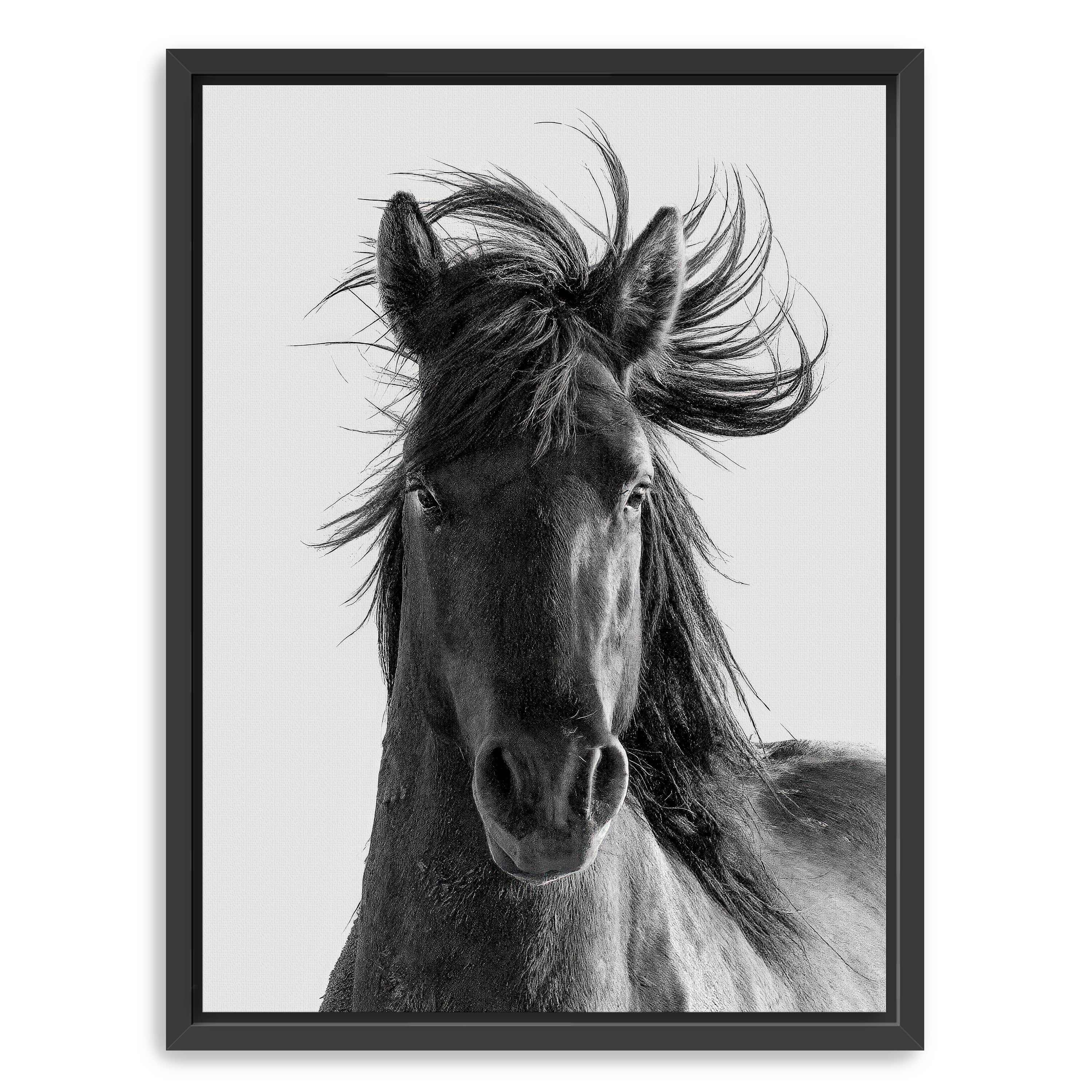 Portrait Canvas Giclee
