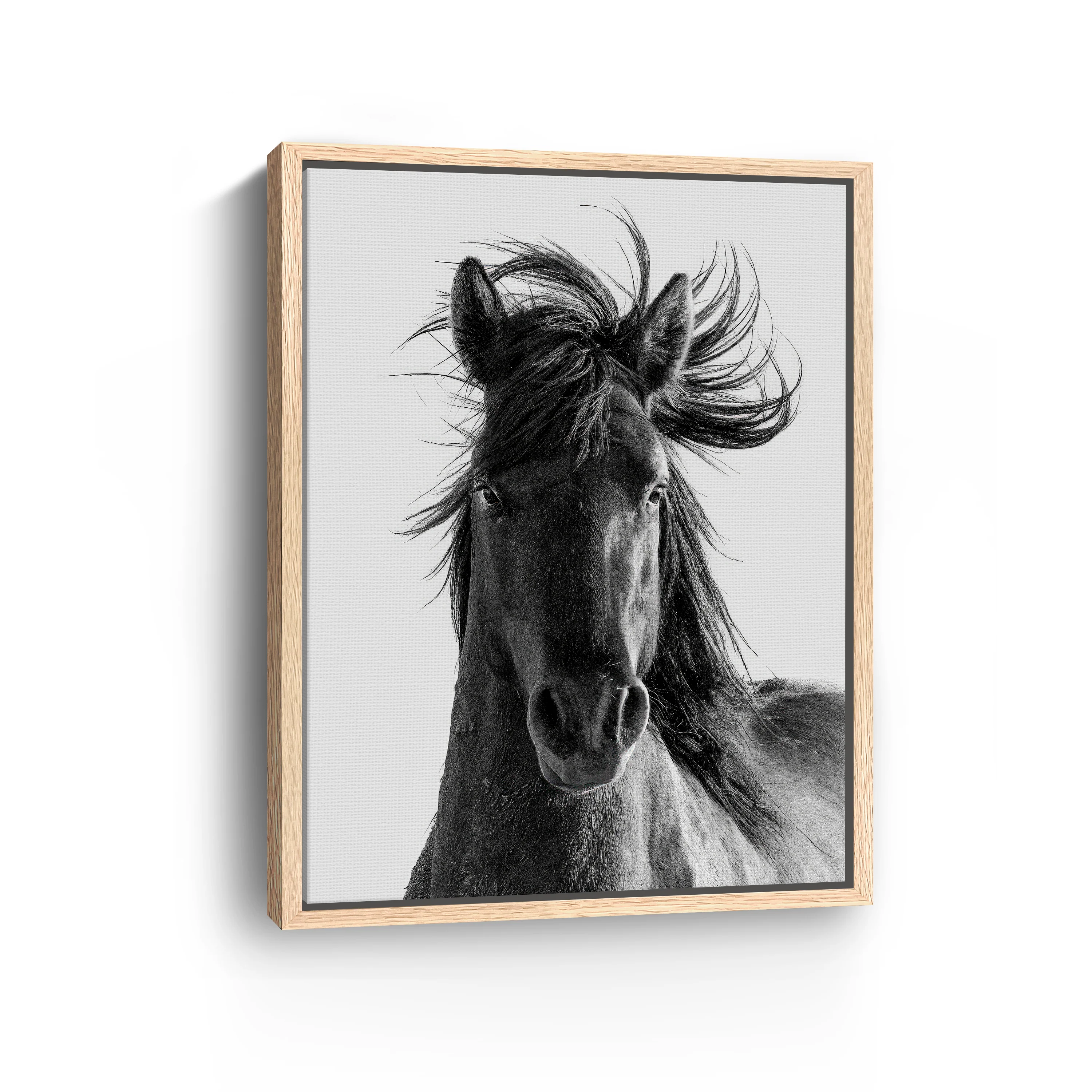 Portrait Canvas Giclee - Image 9