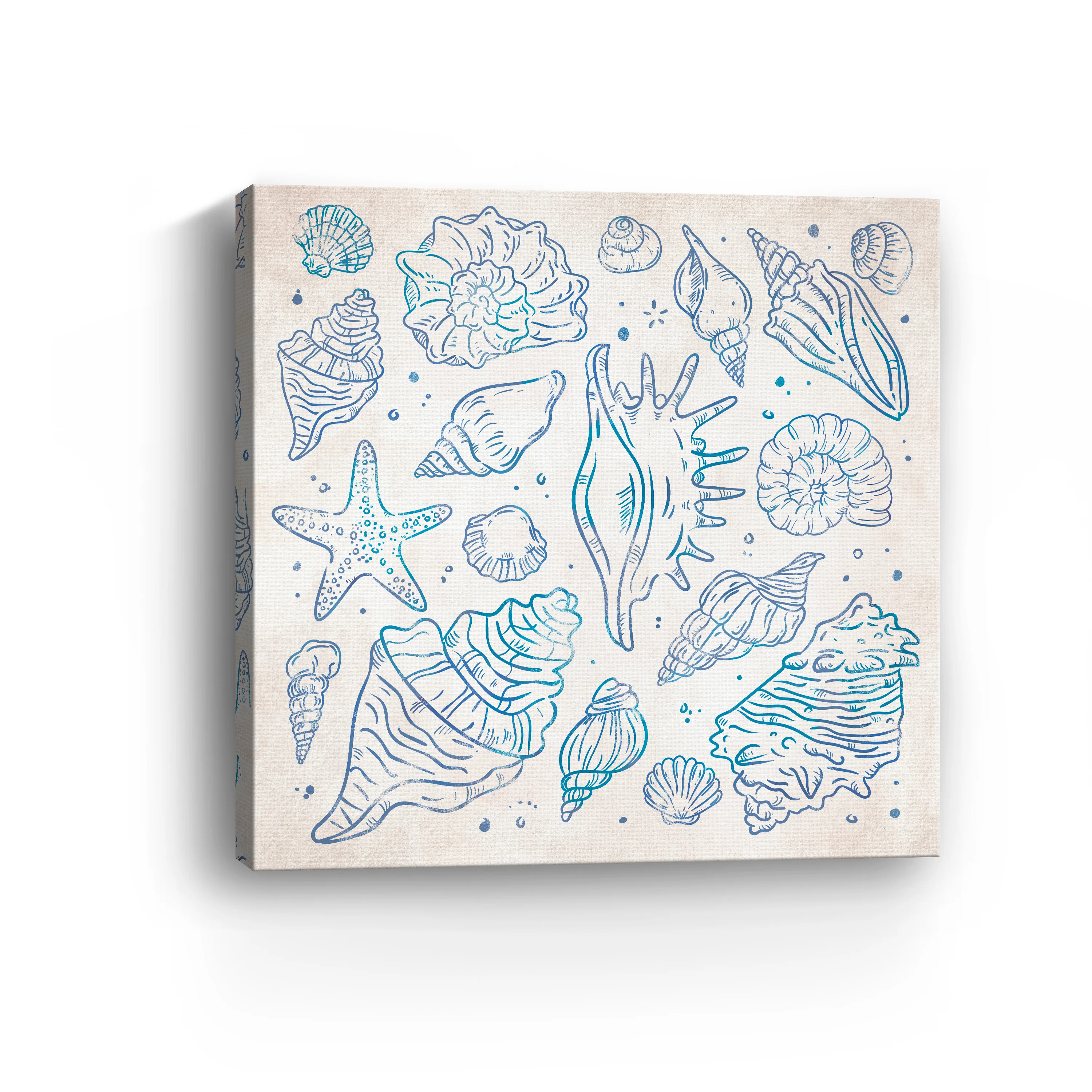 Sea Shells I Canvas Giclee - Image 12