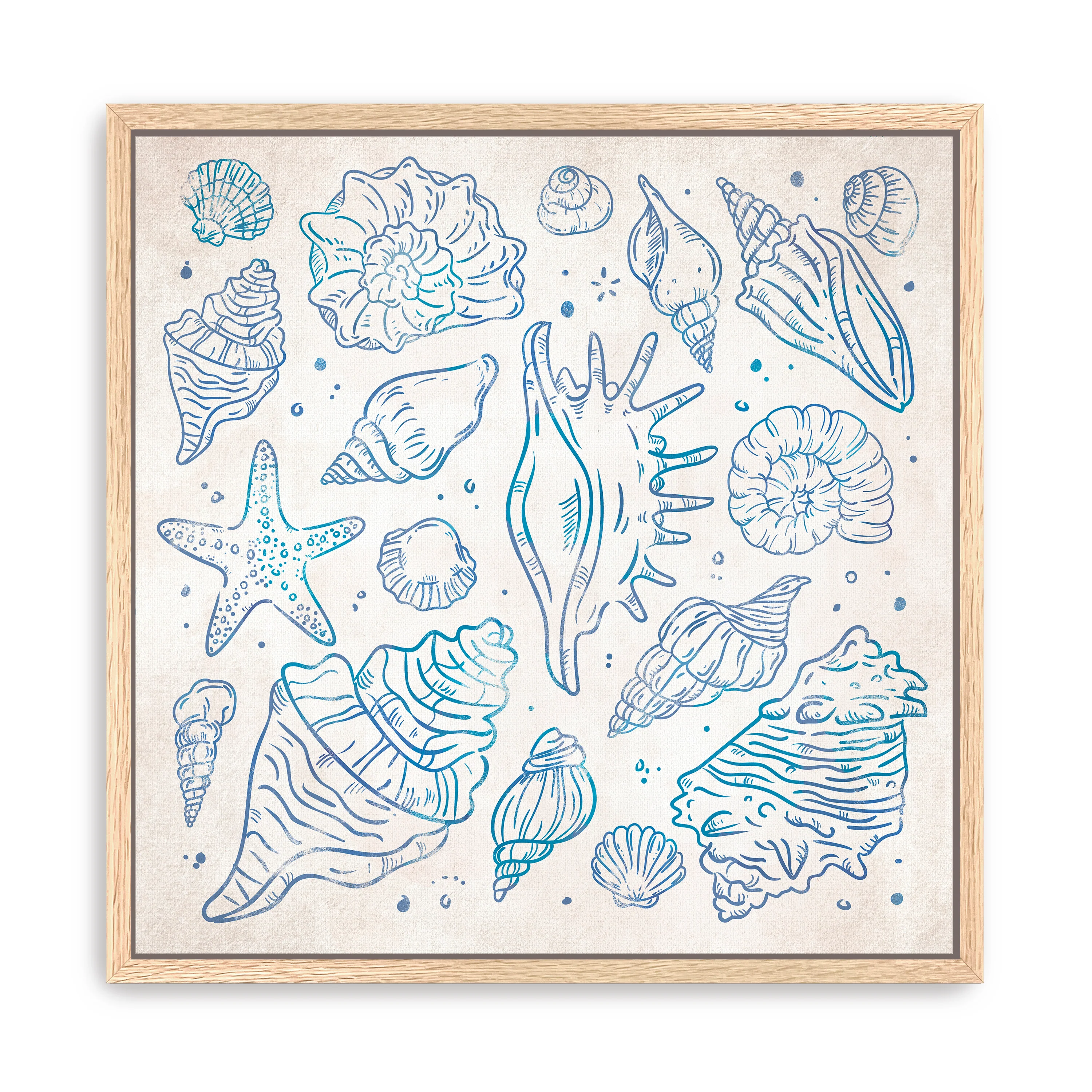 Sea Shells I Canvas Giclee - Image 7