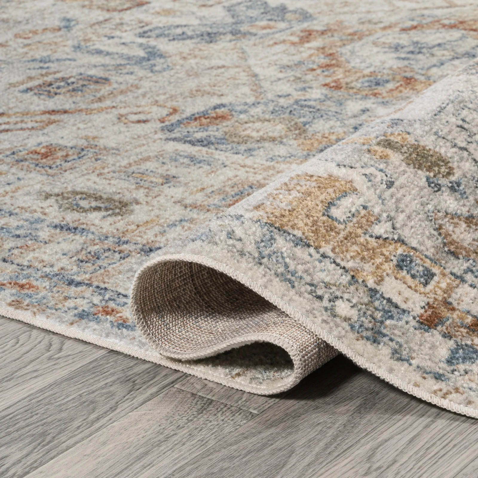 Shaemus Bohemian Medallion Low-Pile Machine-Washable Area Rug - Image 14