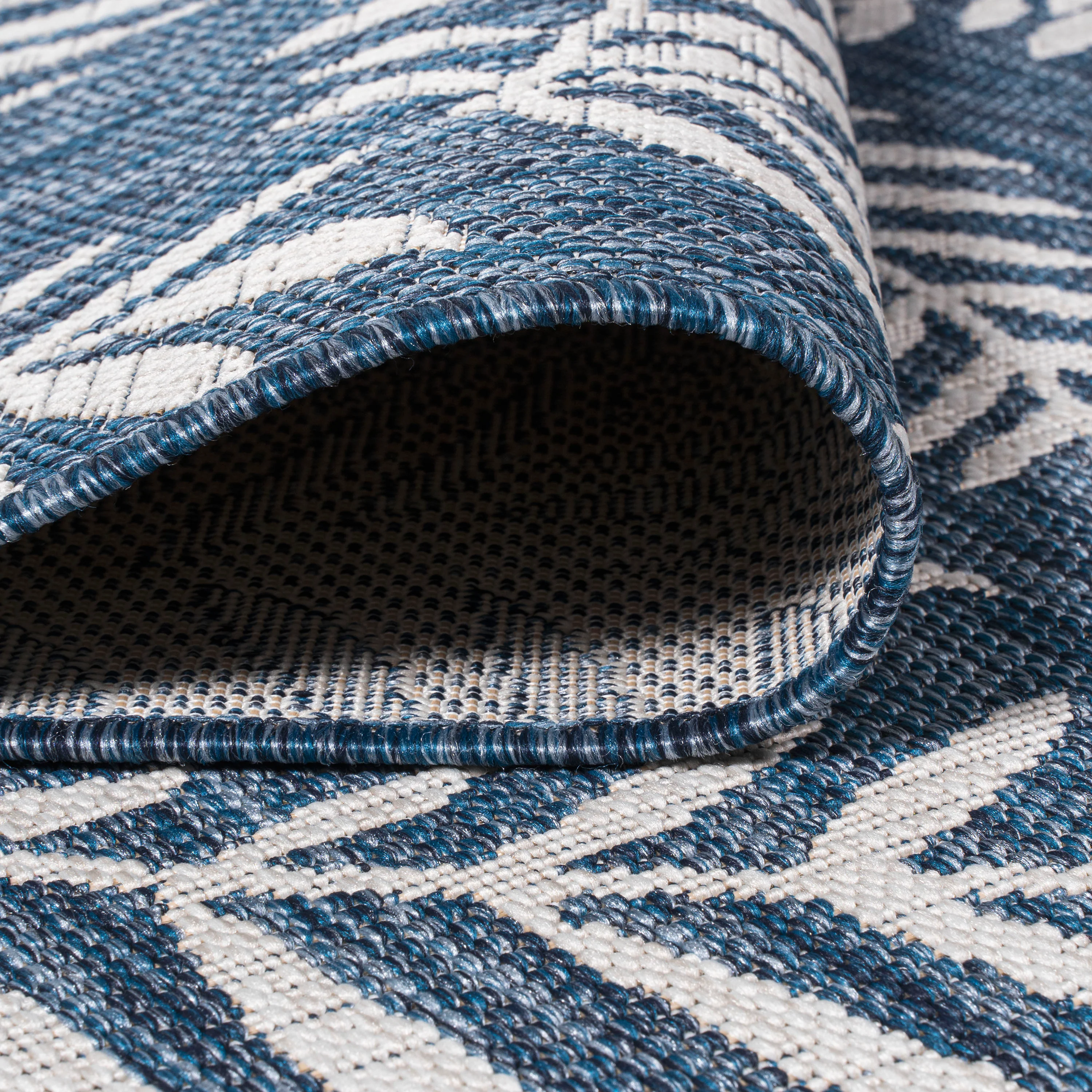 Nevis Palm Frond Indoor/Outdoor Area Rug - Image 3