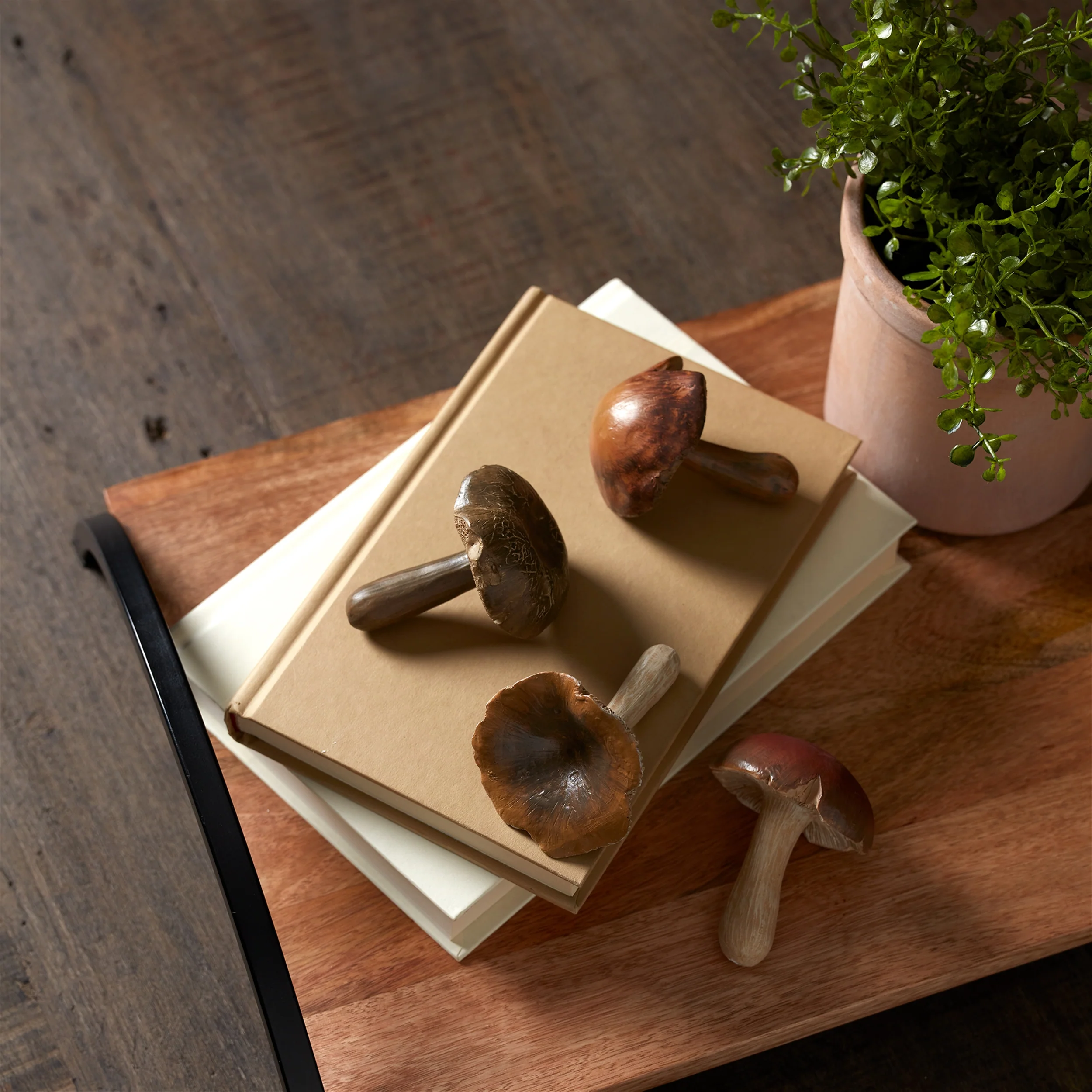 Stone Mushroom Shelf Sitter, Set of 12 - Image 2