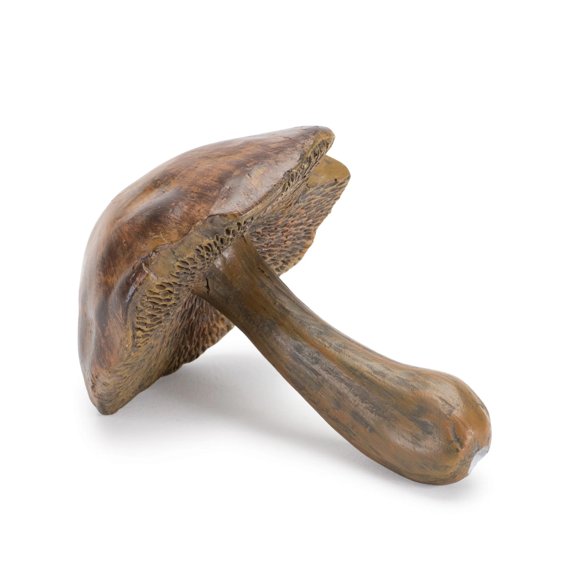 Stone Mushroom Shelf Sitter, Set of 12 - Image 4