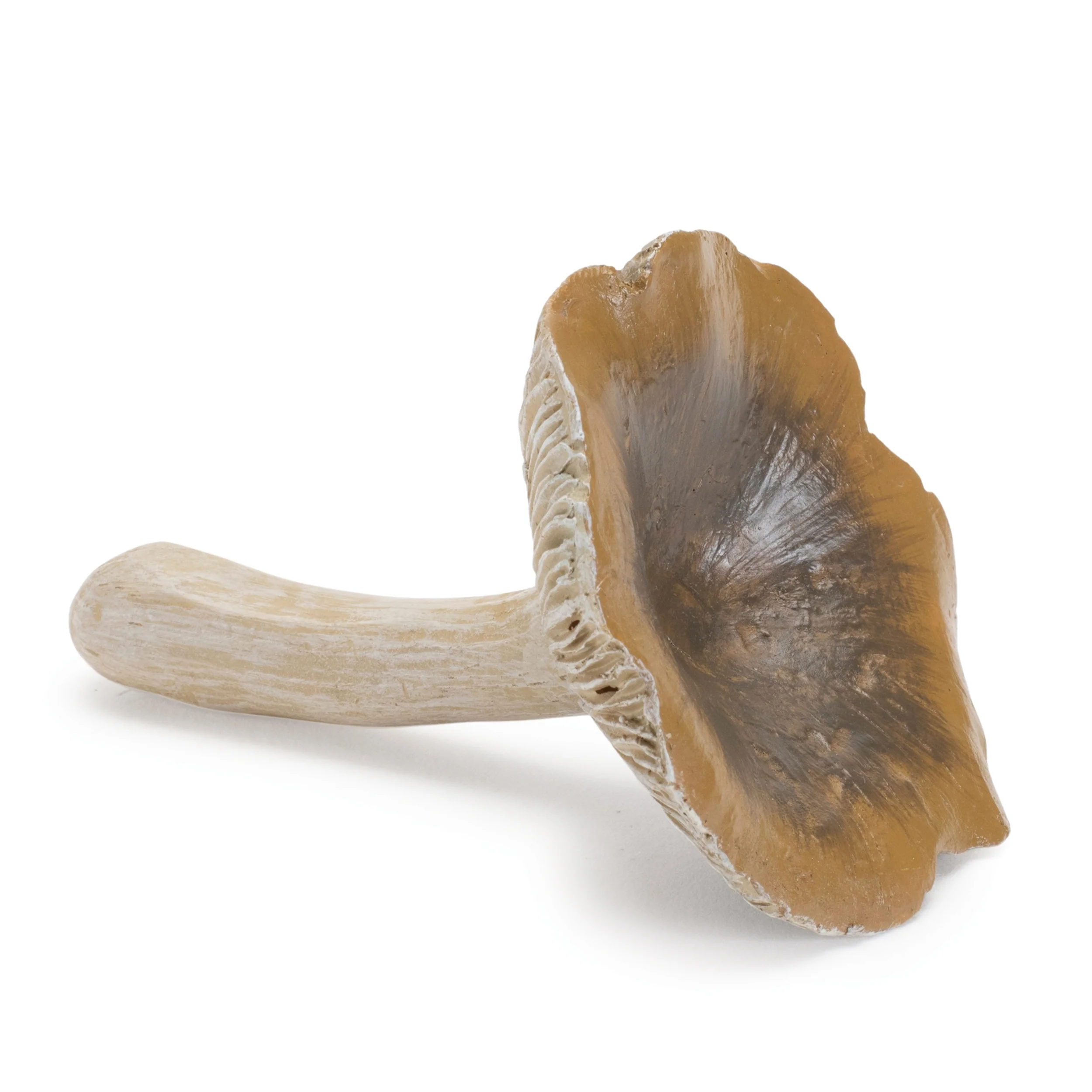 Stone Mushroom Shelf Sitter, Set of 12 - Image 6