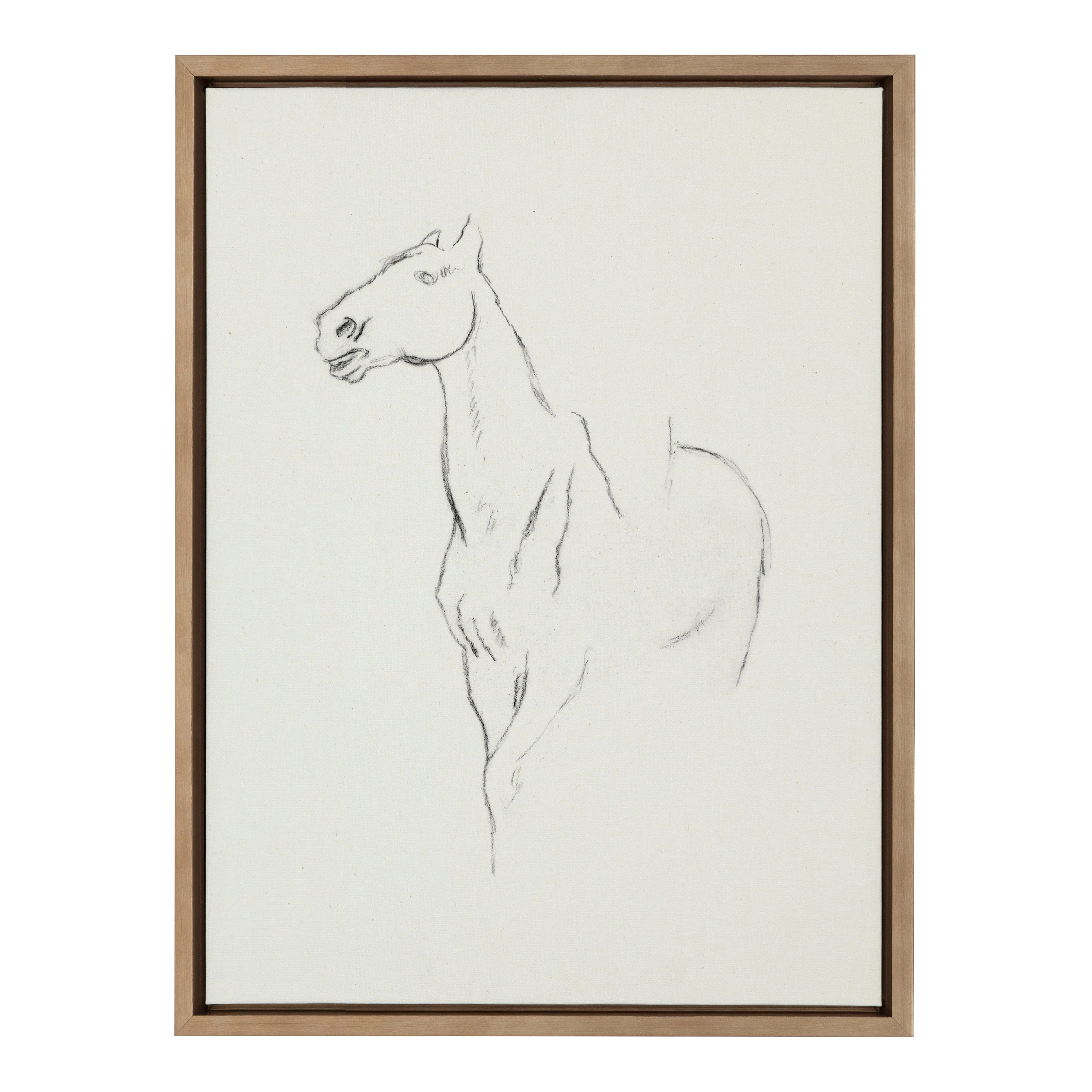 Sylvie Edgar Degas Horse Turned Three Quarters 1880 BW Framed Canvas by The Art Institute of Chicago - Image 2