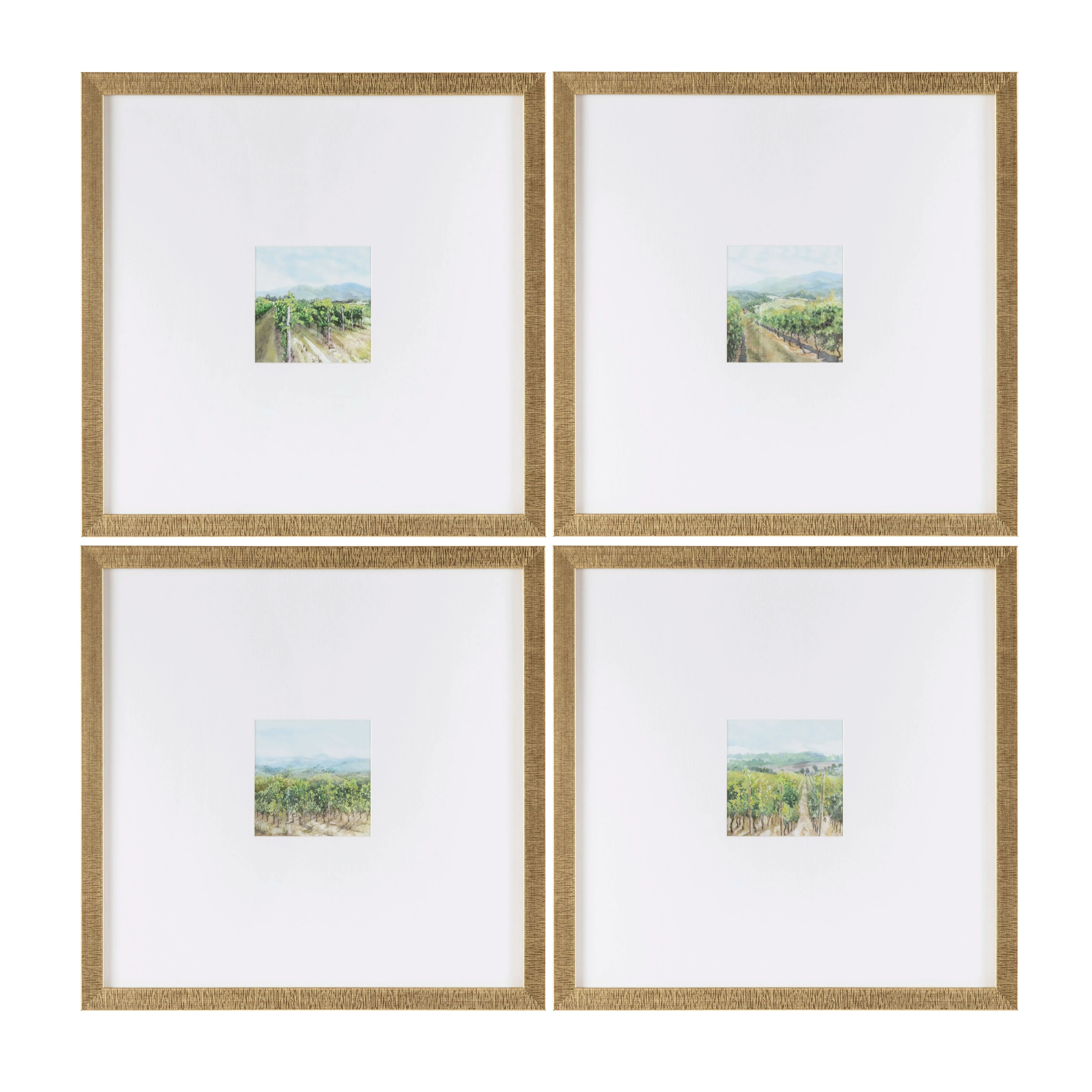 Vineyards 4 Mini Prints Under Glass